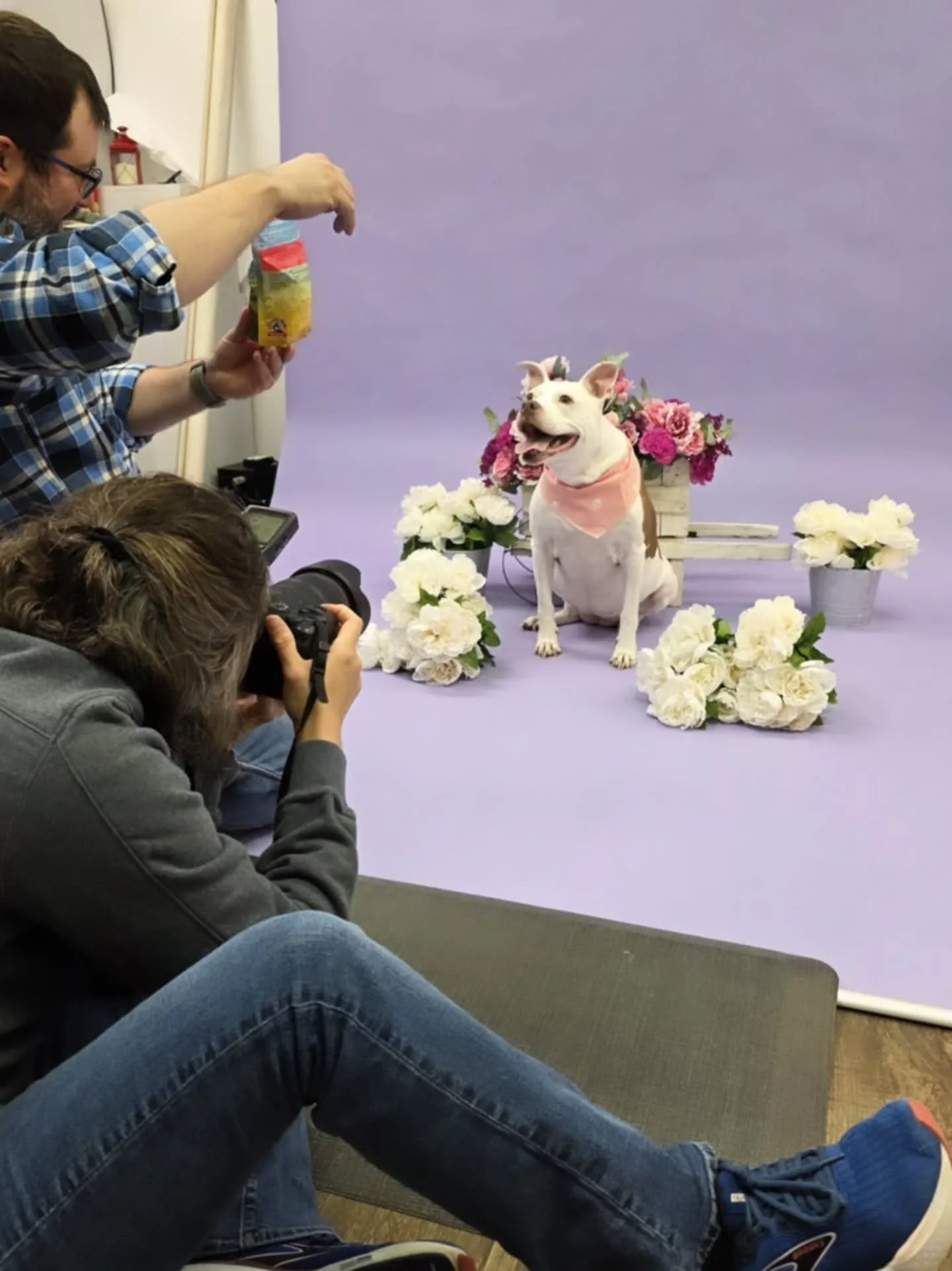 A behind the scenes look: I was so fortunate to kick off 2026 in the studio with a session with one of my favorite pups, Kali, and her mom!

Kali is a natural for the camera, and as we learned during her session, she is also a master treat catcher! ?
