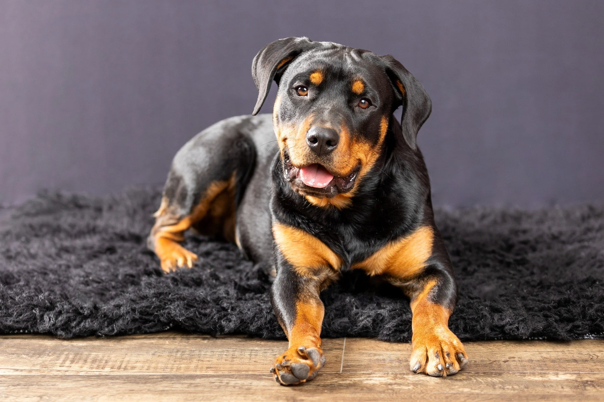 March studio availability is limited ❤

I have just 4 session dates remaining for March, and each booking includes a complimentary 11"x14" fine art print of your favorite image. 📸

If you&rsquo;ve been meaning to schedule photos of your do