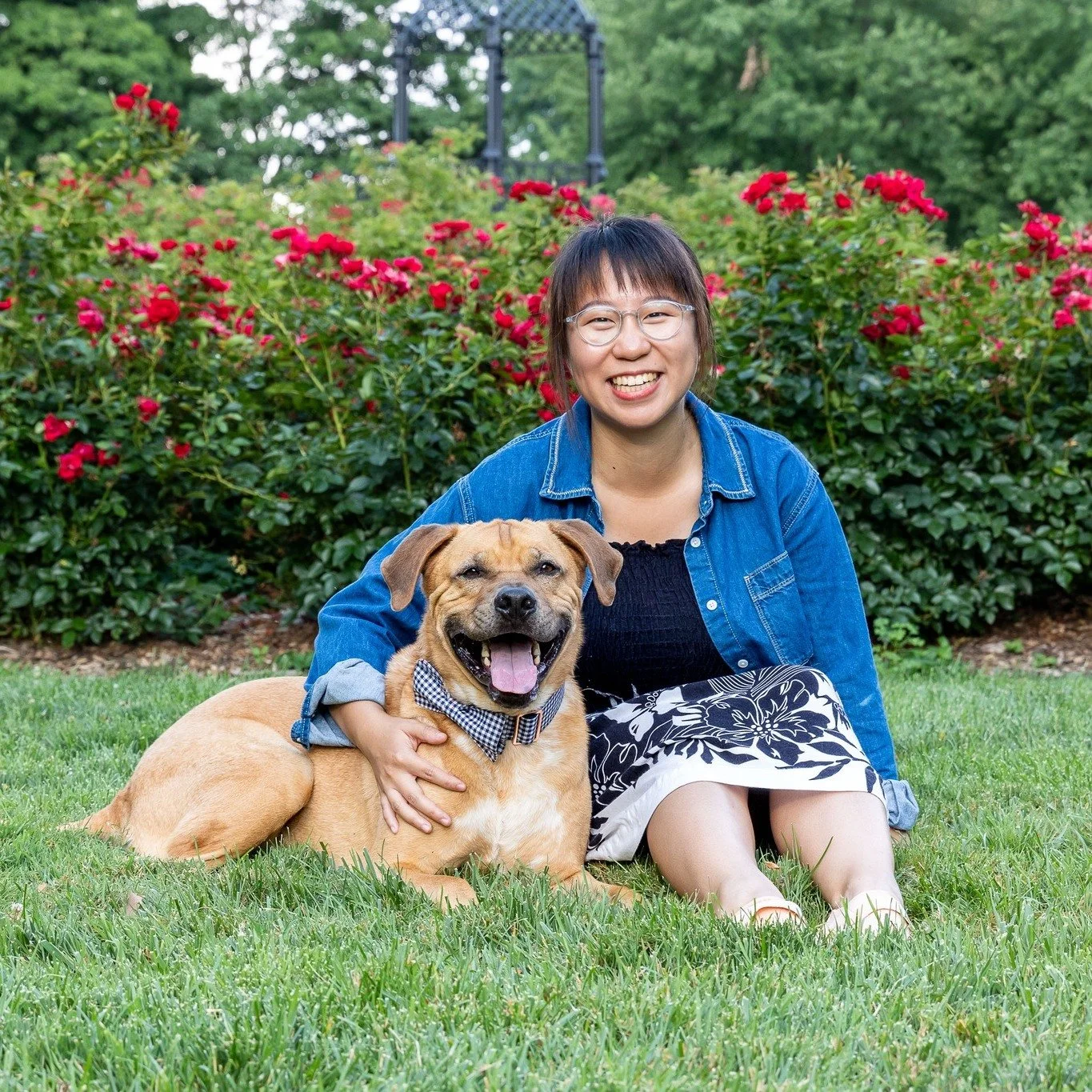 📍 Location Highlight: Whetstone Park of Roses
If you're looking for a dog-friendly park that combines elegant gardens bursting with blooms, rustic wooded trails, and peaceful creek views, Whetstone Park of Roses is one of my favorite locations to re