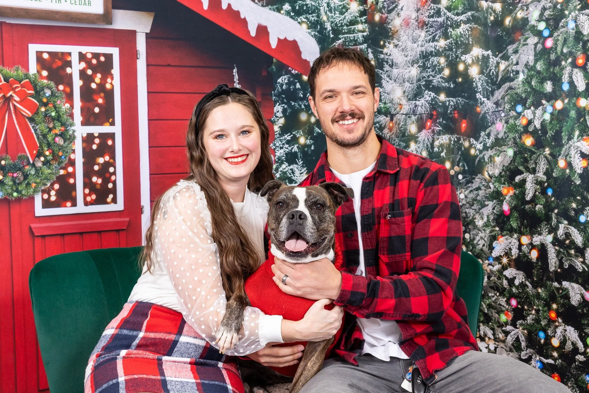 🎄 Christmas is coming a little early this year! 🎄
I&rsquo;m setting up my brand-new holiday sets early this year, and I&rsquo;ve decided to open just TWO Early Access Holiday Mini Sessions on Saturday, August 29! ❤️🐾

Be among the very first to ex