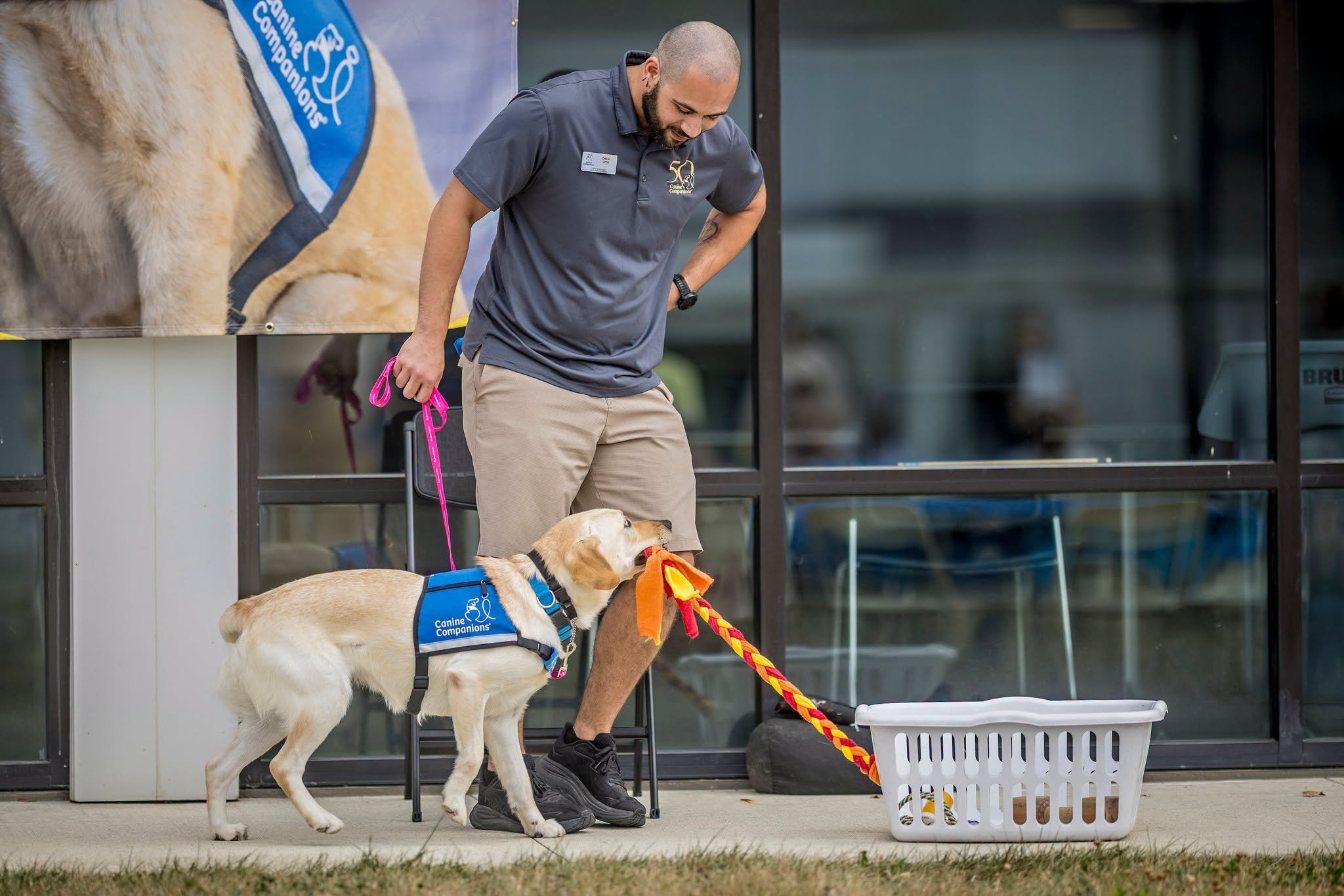 Dog lovers, get excited - DogFest is happening at Canine Companions North Central Training Center in New Albany, OH this Sunday, 9/20 from 1-4pm! DogFest is the organization's biggest fundraiser, supporting Canine Companions and their mission to prov