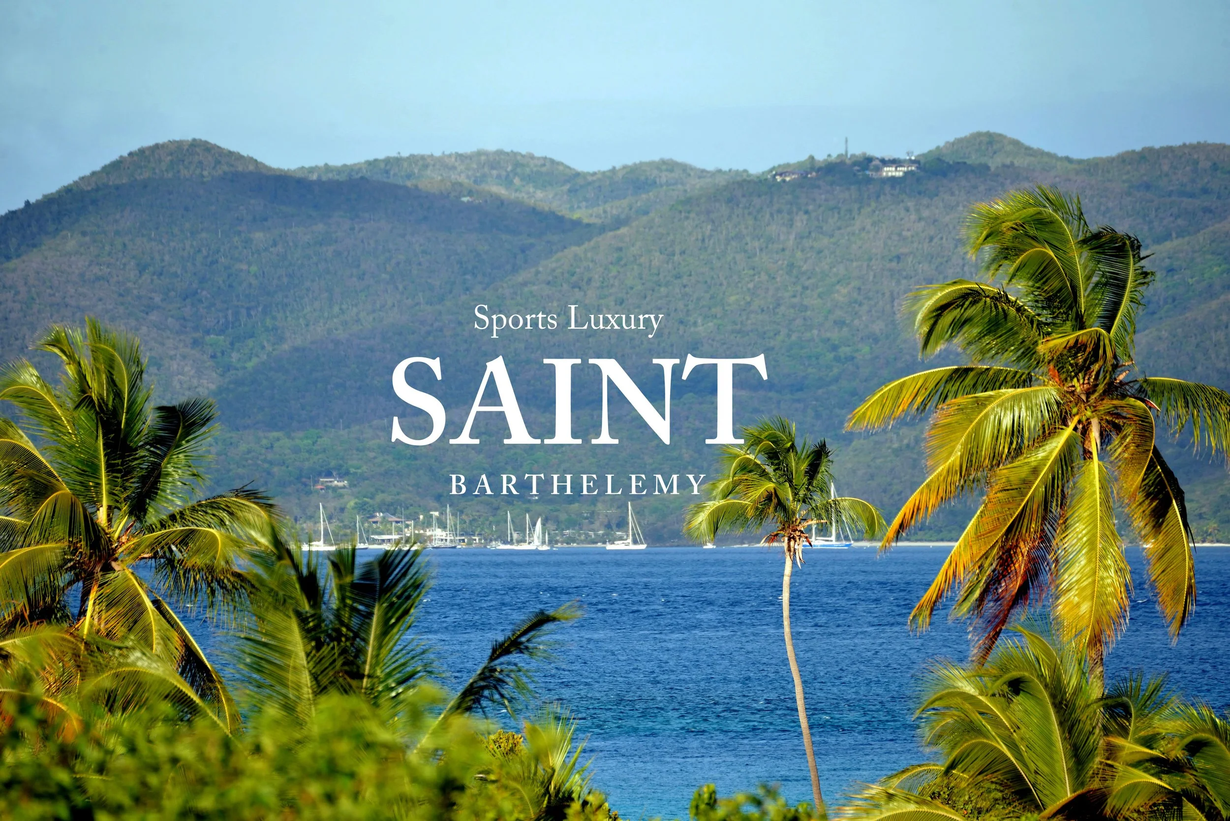 Osrick N Cricket Banner x2.jpg