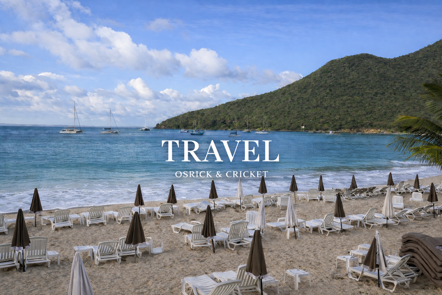 Osrick N Cricket SSummer 26.PNG