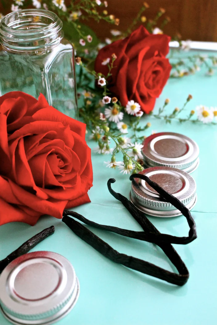 D.I.Y. Vanilla Extract