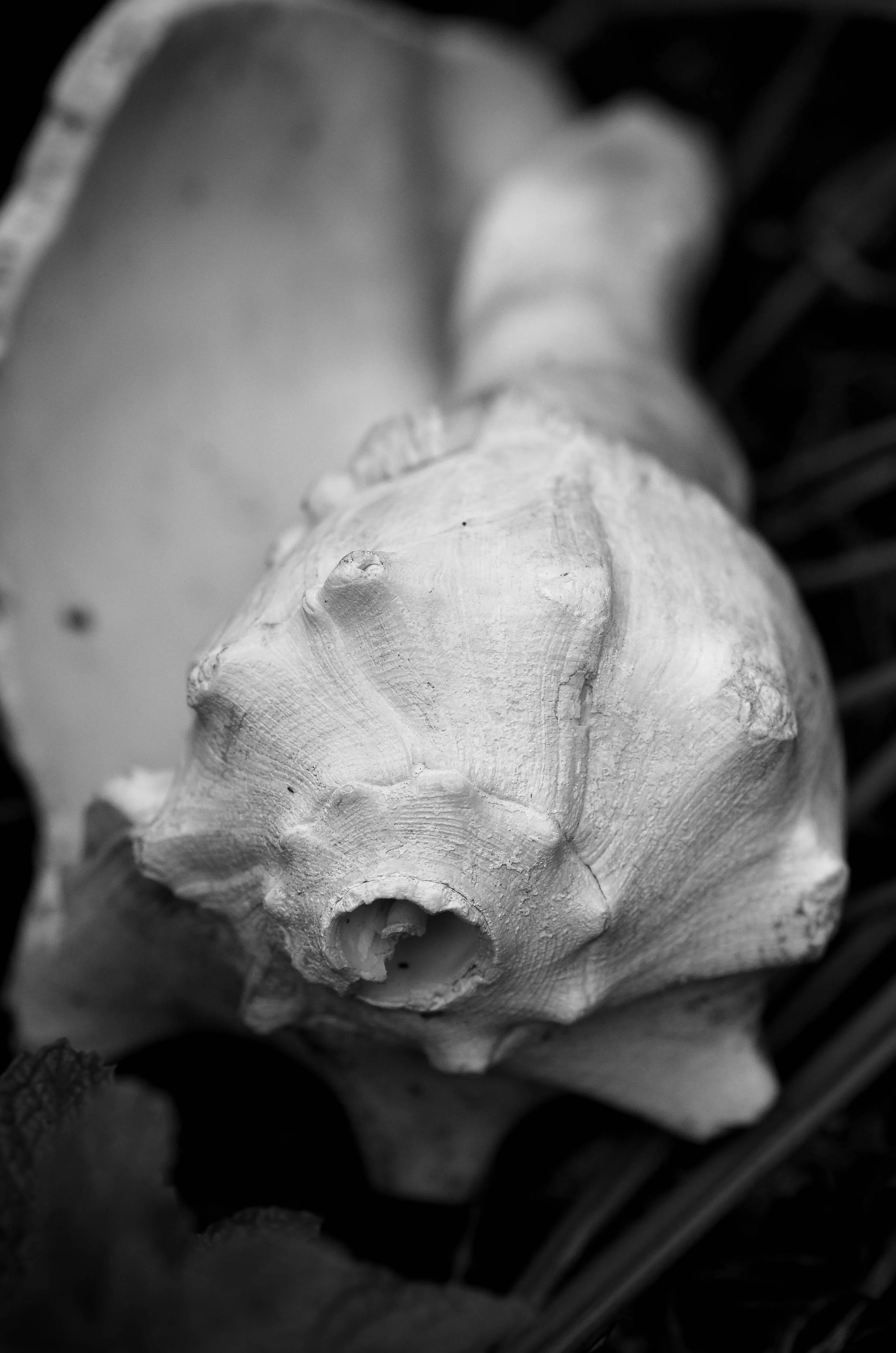 DSC_0676.jpg