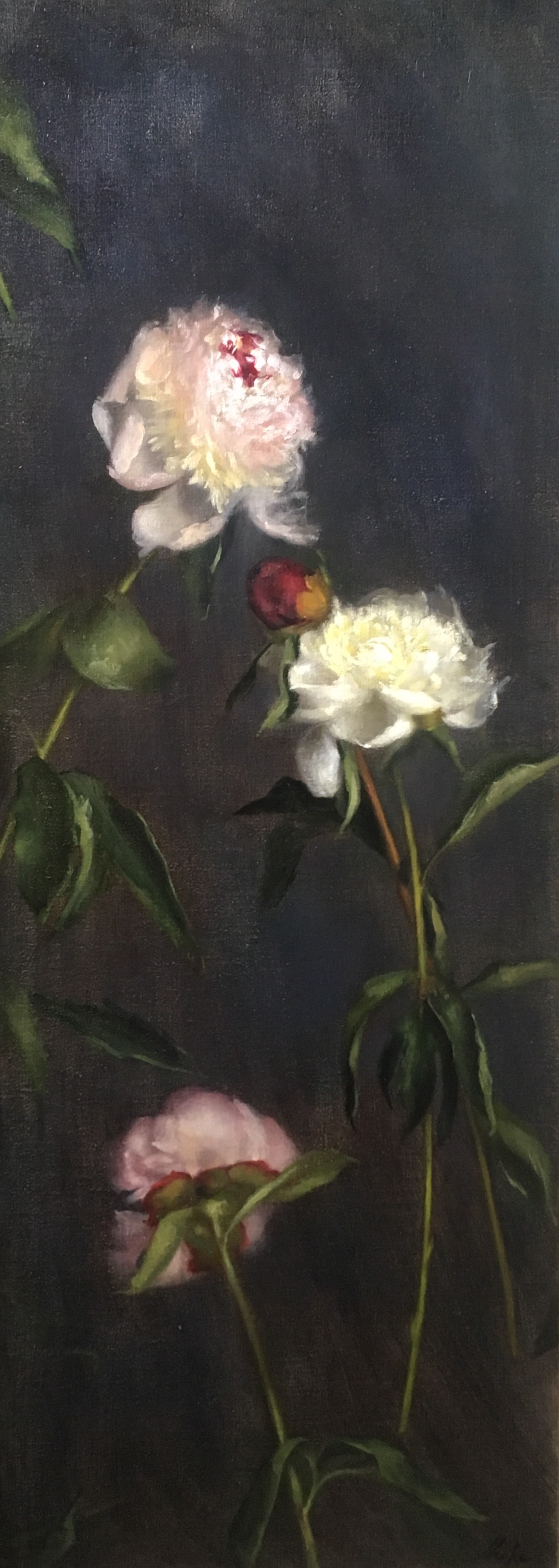 Ascending Peonies I (Copy)