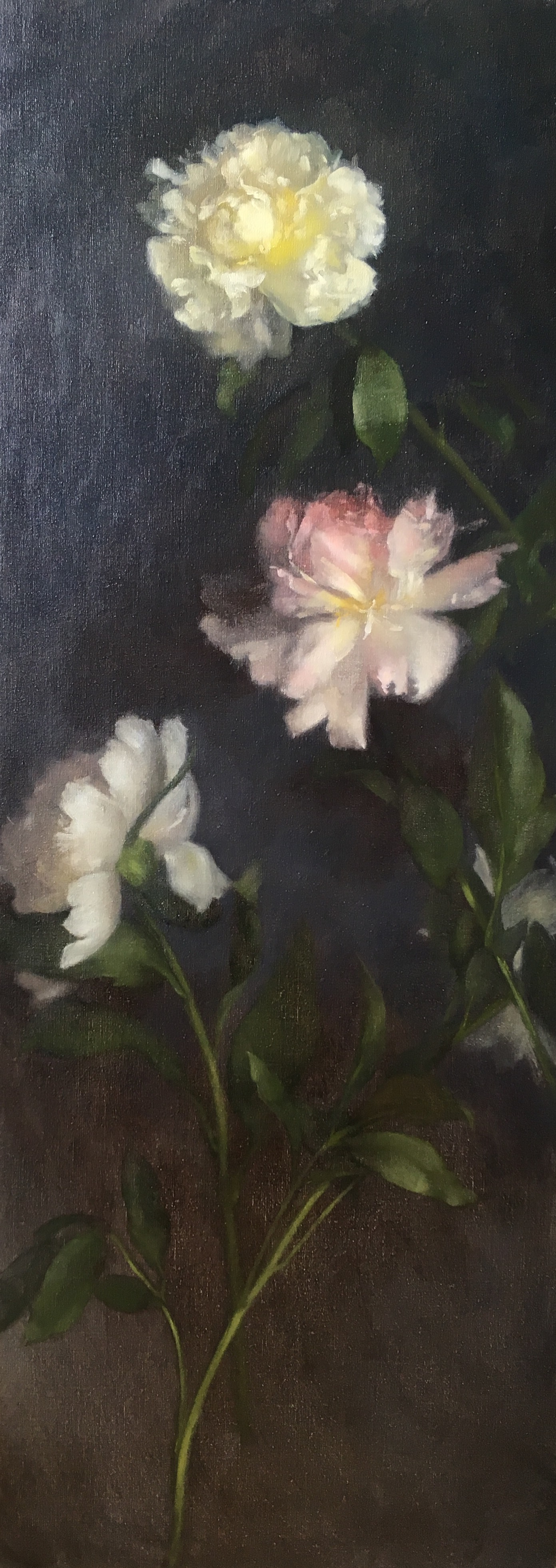 Ascending Peonies II (Copy)