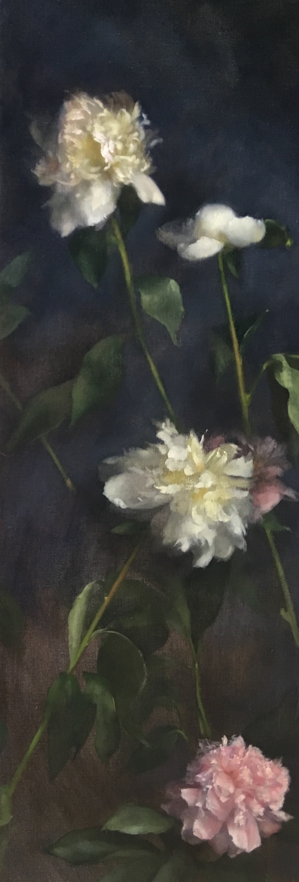 Ascending Peonies III (Copy)