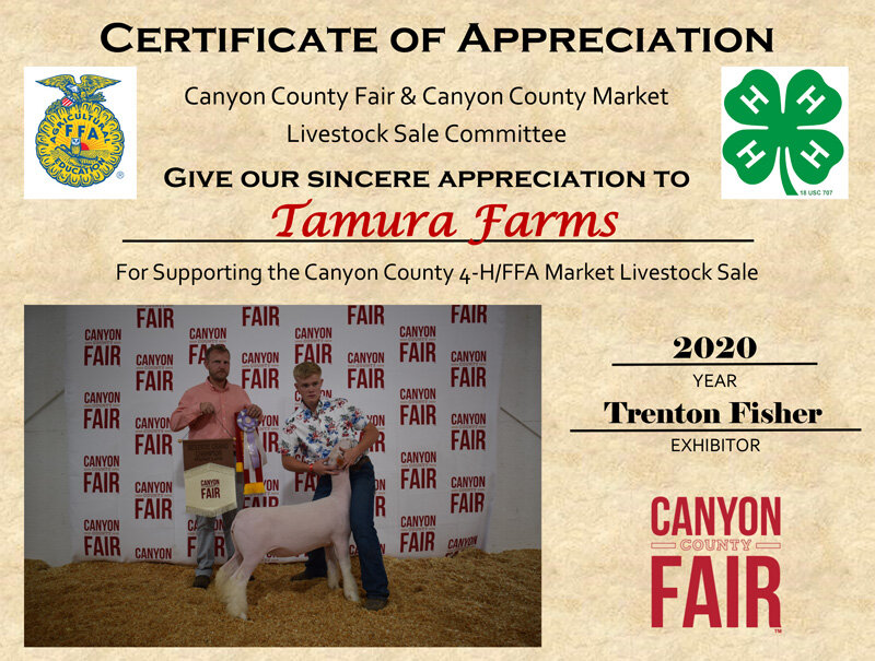 Trenton-Fisher-Buyer-Certificate.jpg