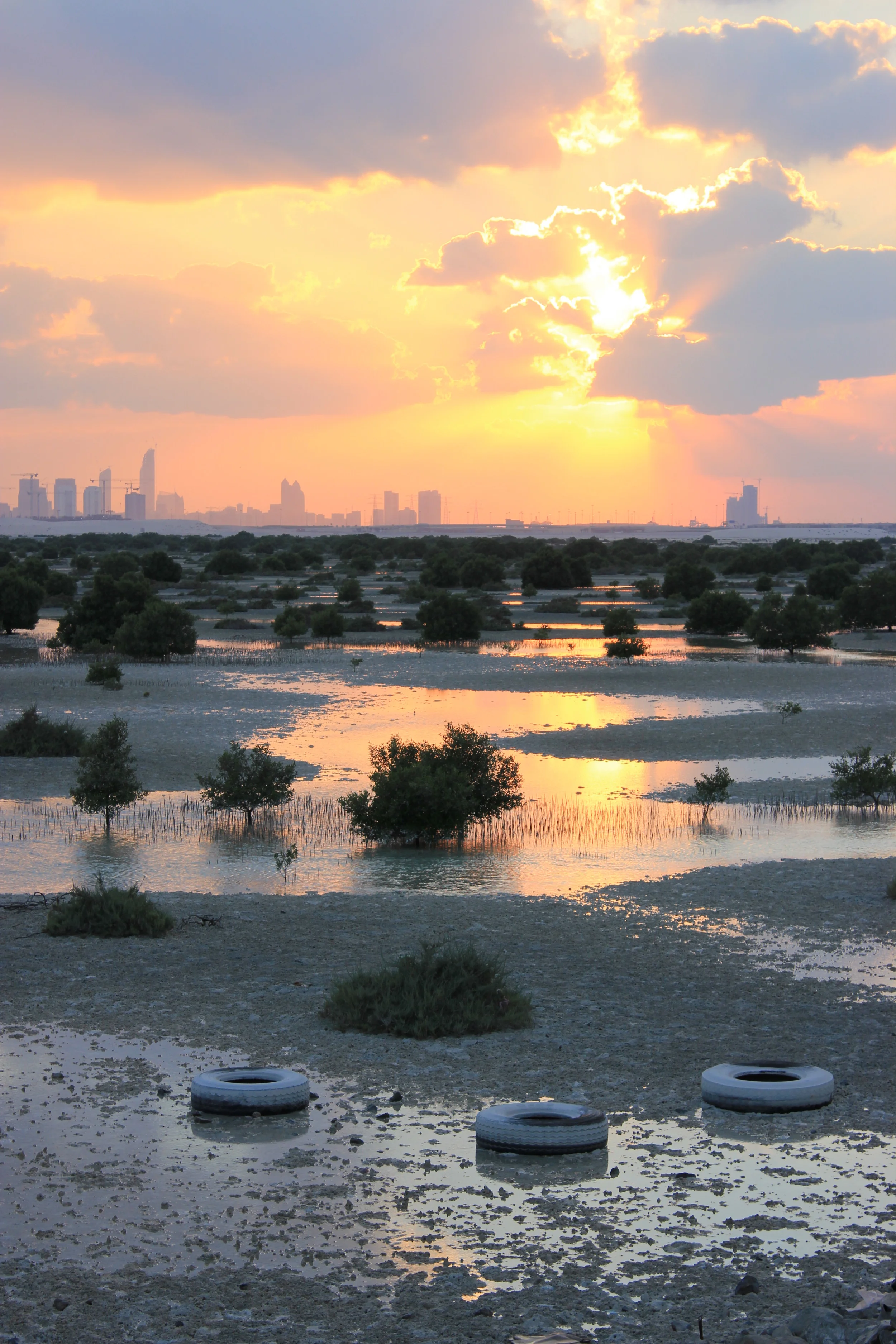 Portrait Water & Tyres 01.JPG