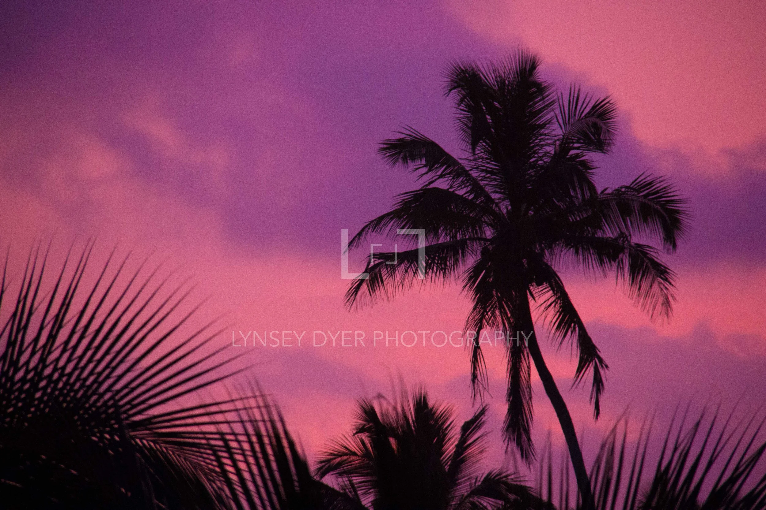 Sri Lanka-42.jpg
