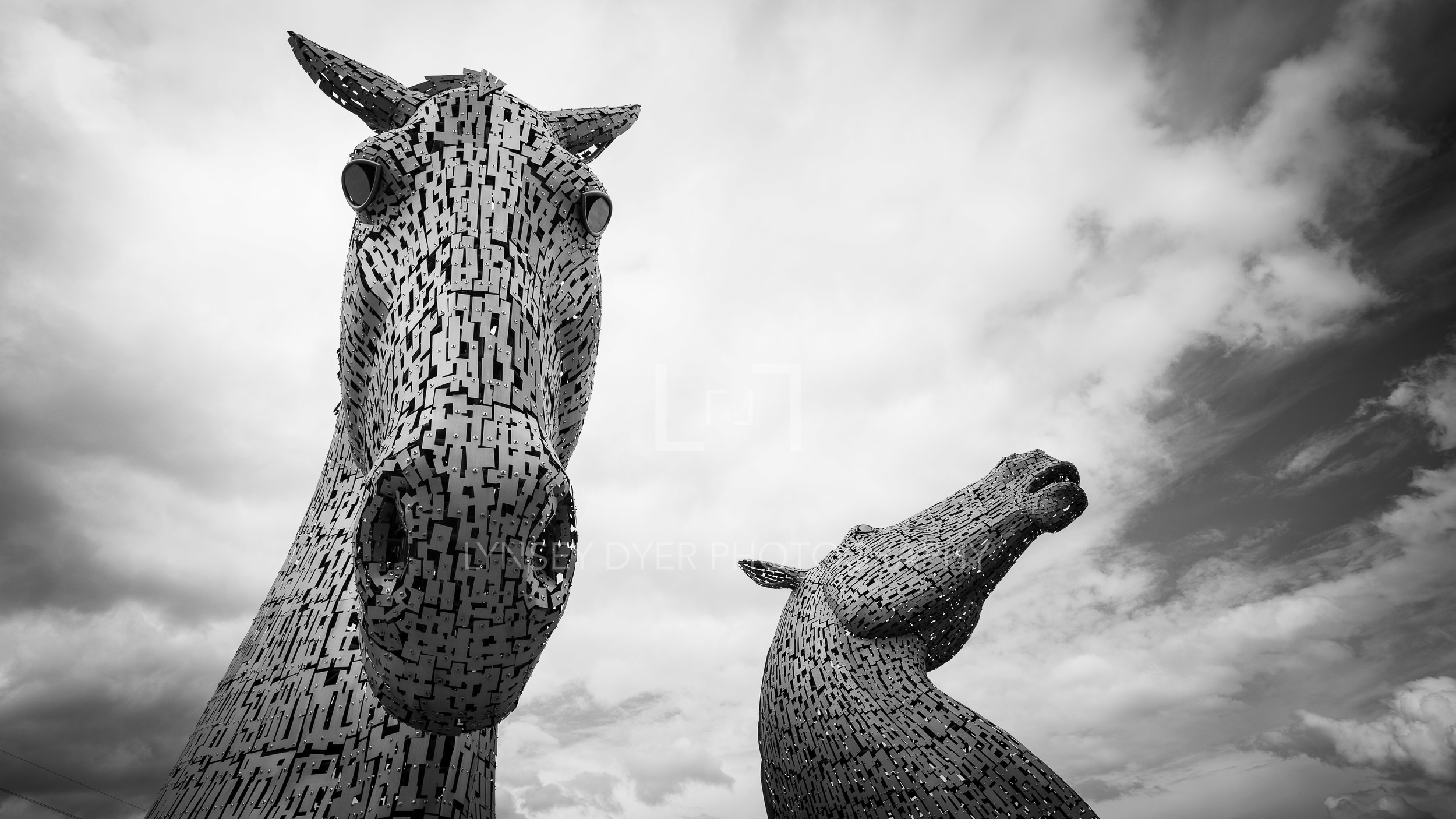 LYNSEYDYERPHOTOGRAPHY-16.jpg