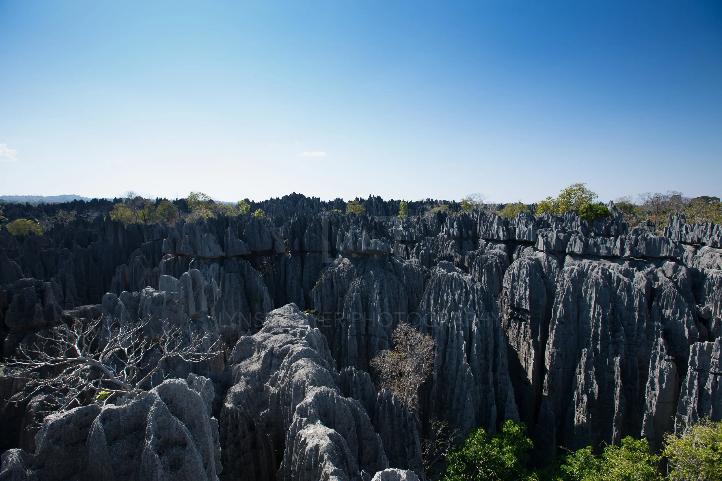 Madagascar-32.jpg