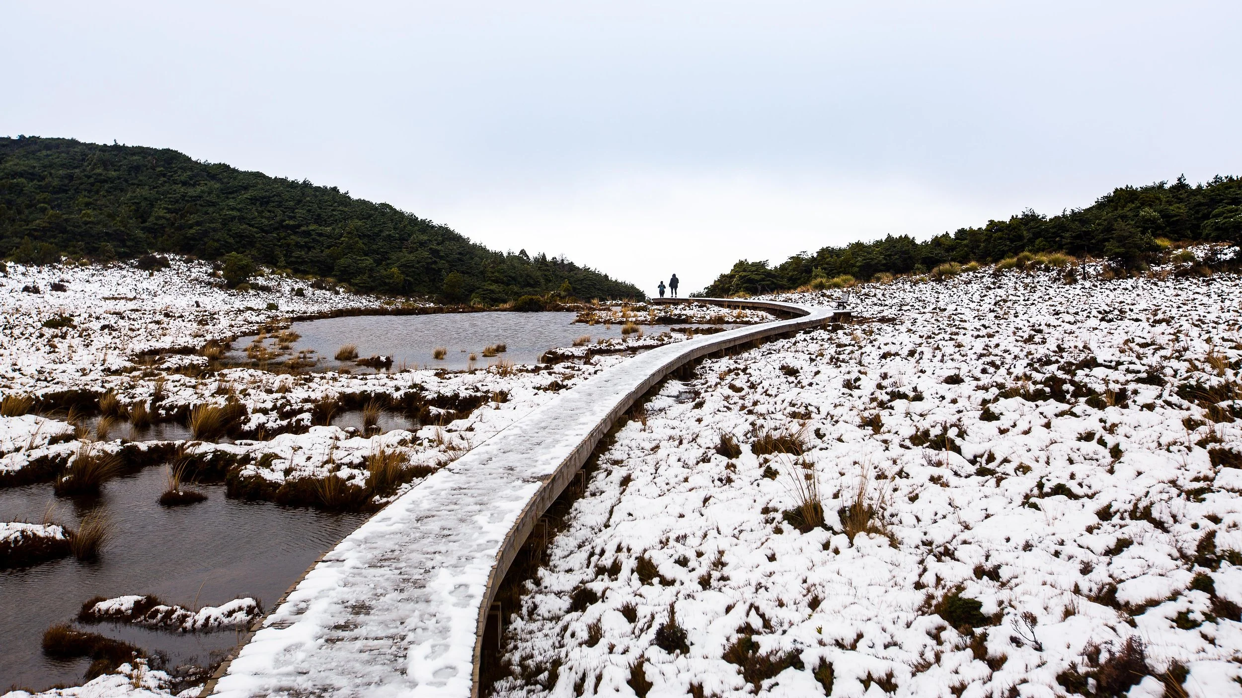 220520_Waitonga Falls-4.jpg