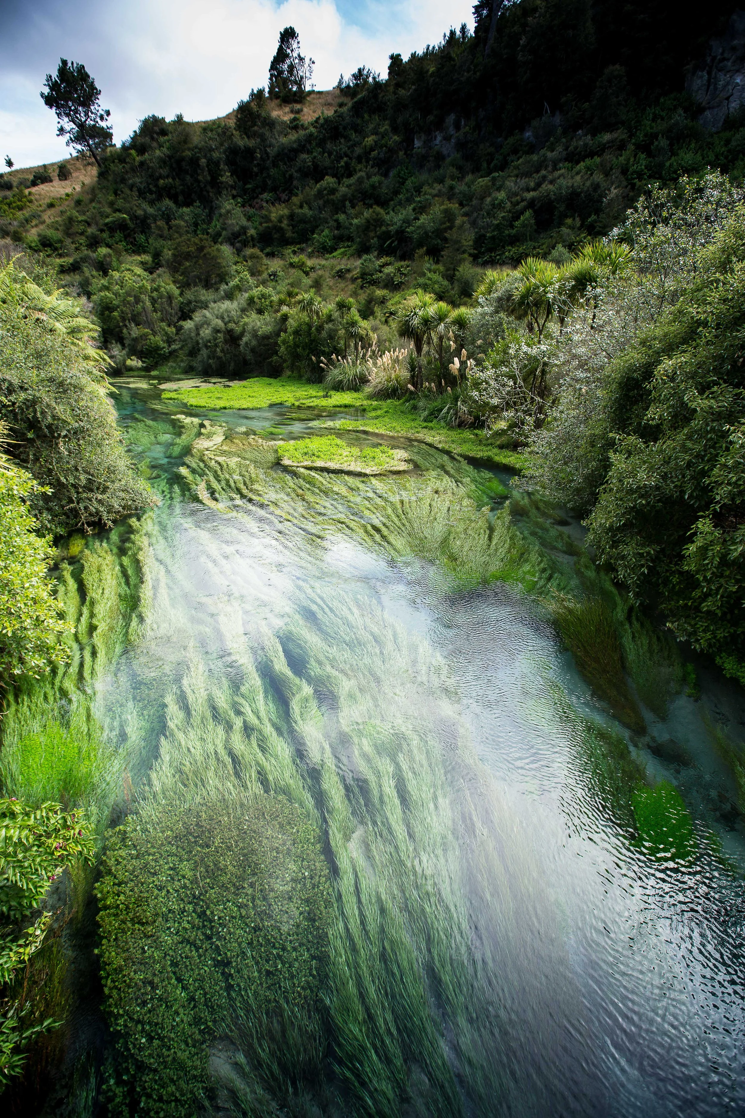 250108_Taupo-4.jpg