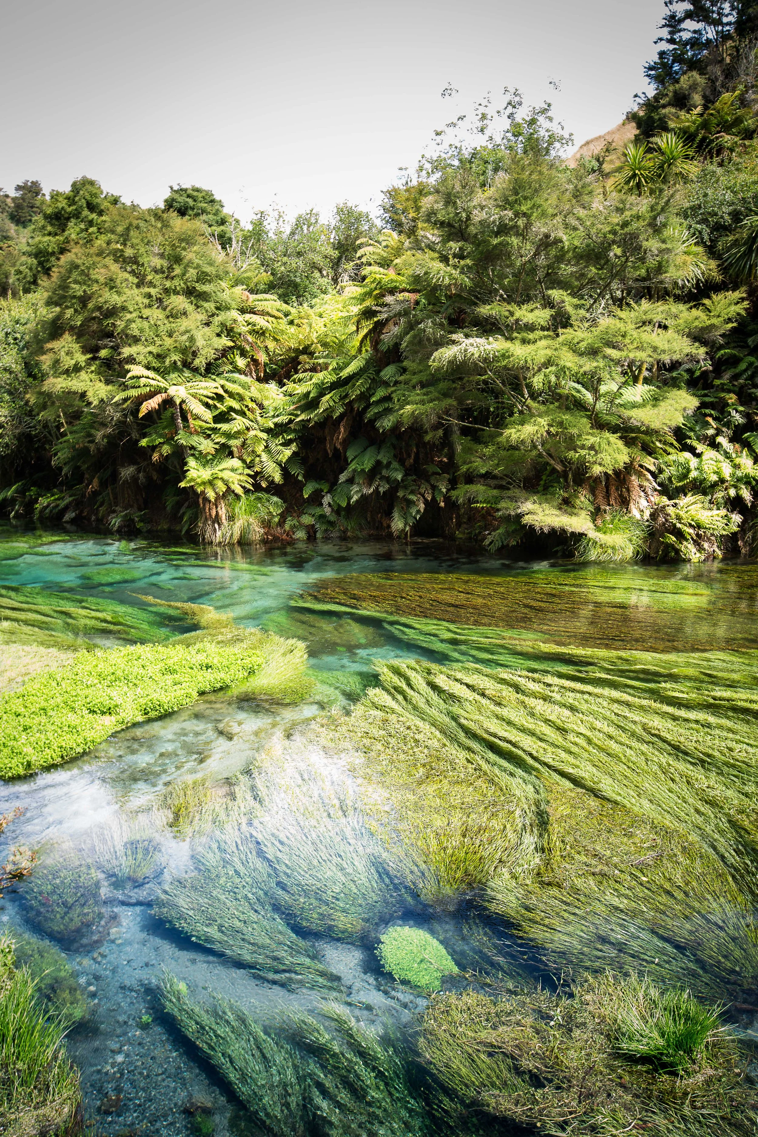 250108_Taupo-8.jpg
