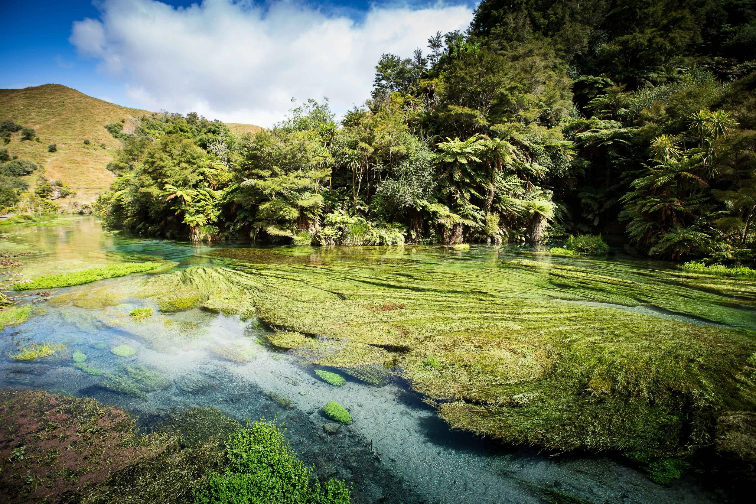 250108_Taupo-10.jpg