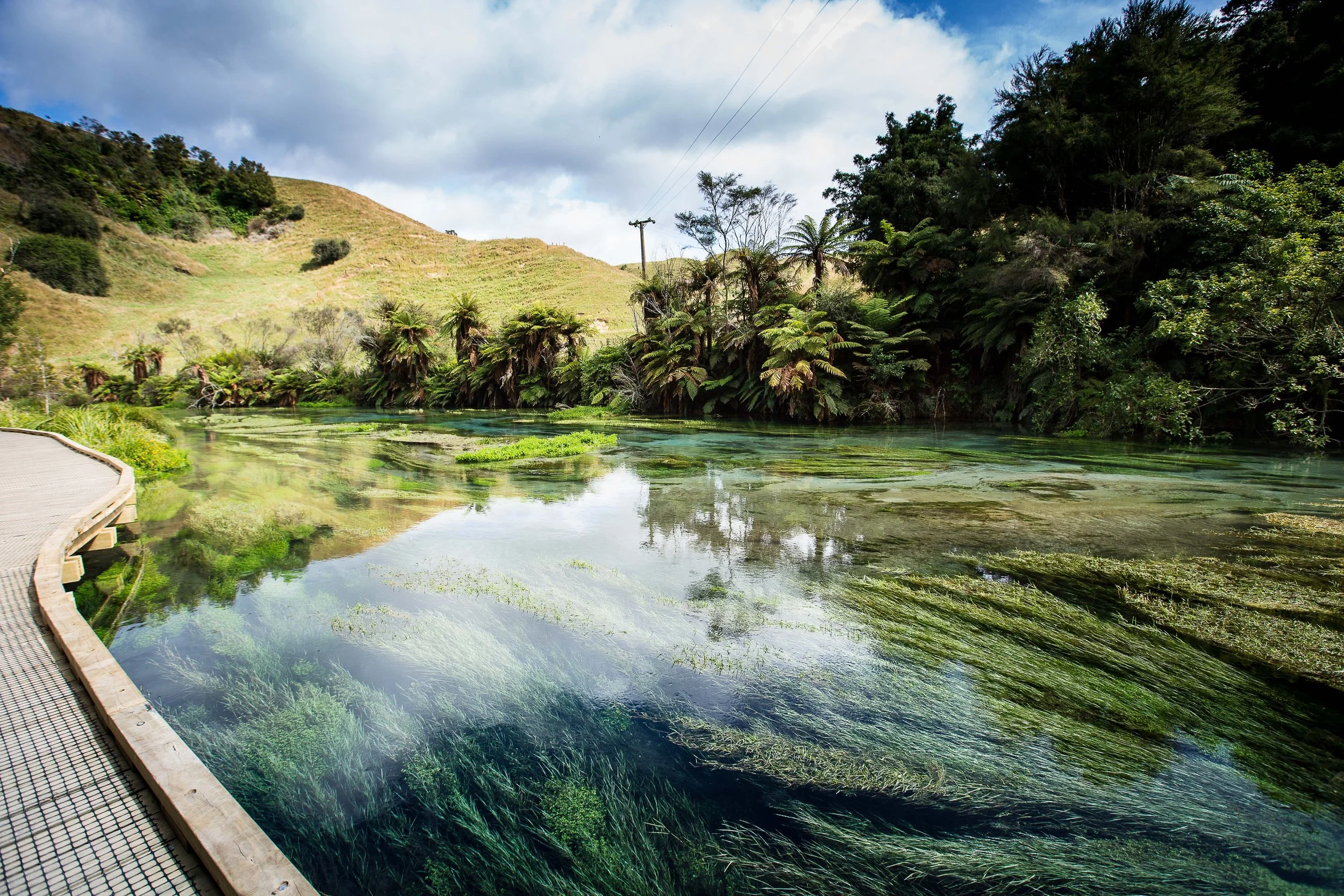 250108_Taupo-11.jpg