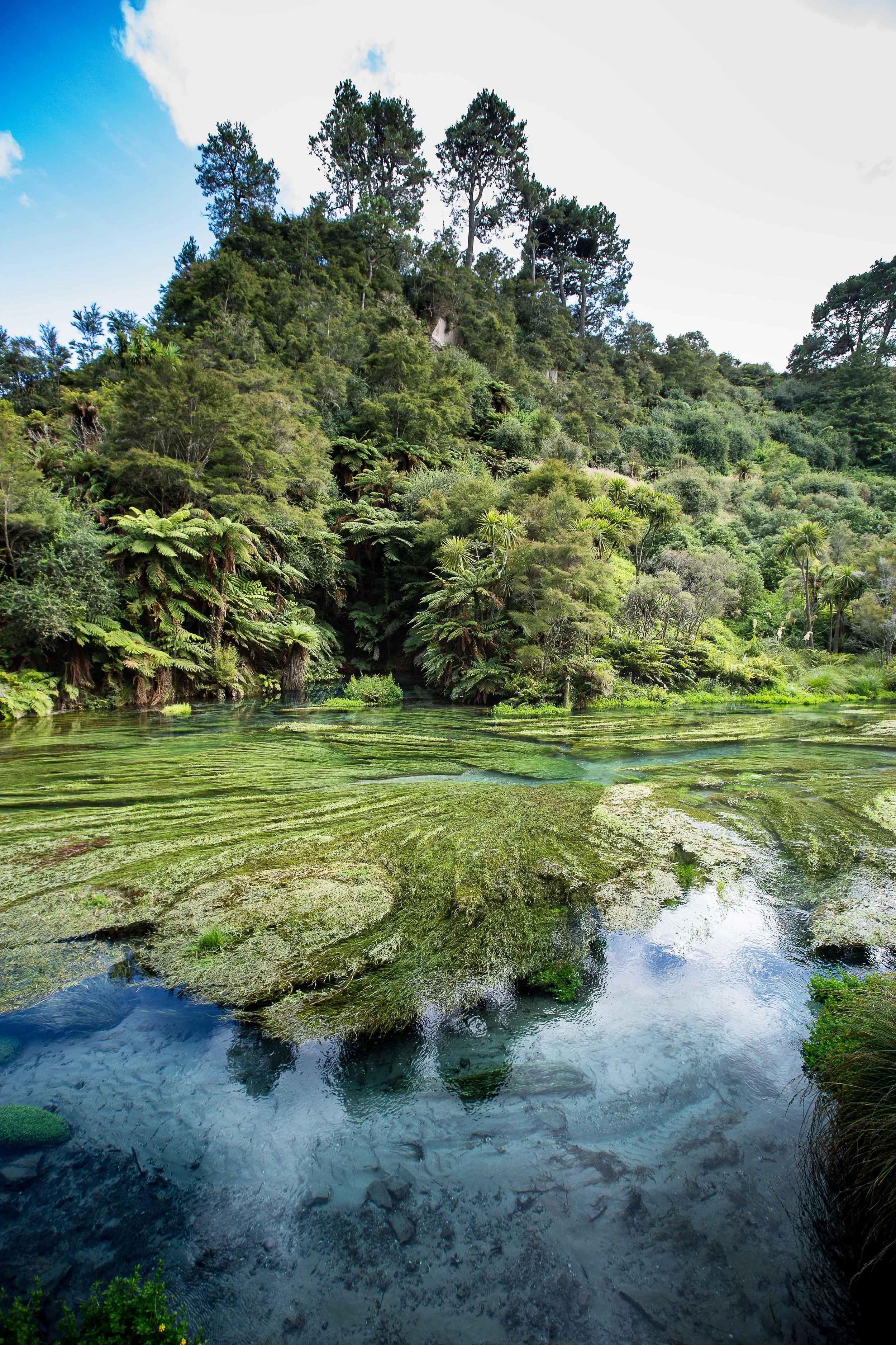 250108_Taupo-23.jpg