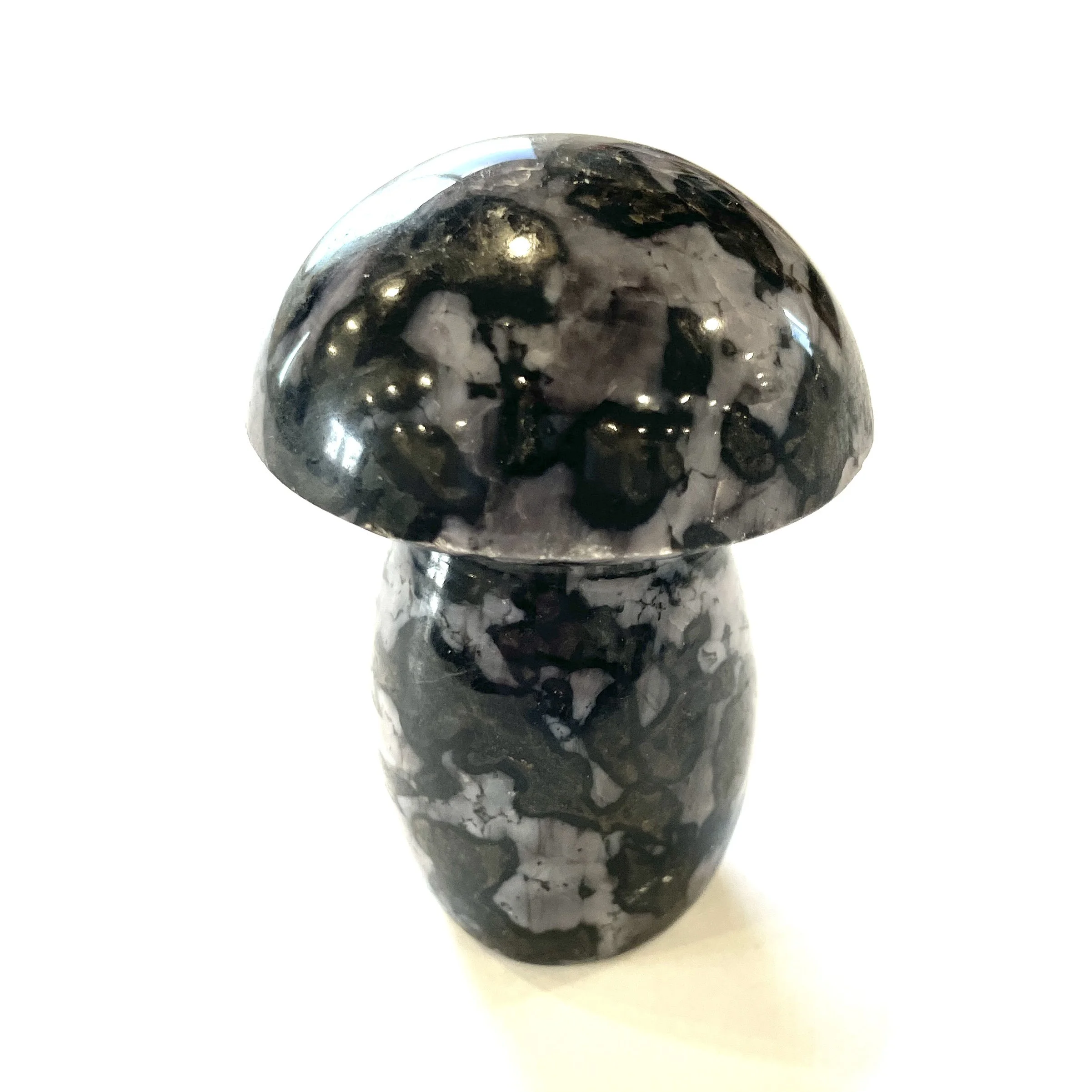Indigo Gabbro Mushroom