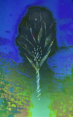 Fruiting in Darkness
