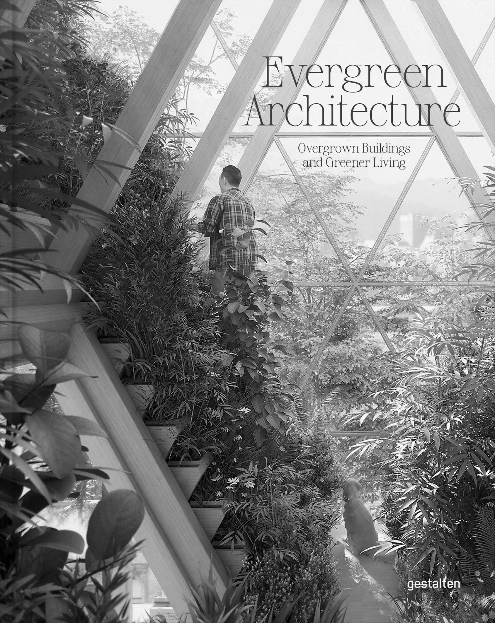 EVERGREEN ARCHITECTURE - ATELIER VILLA