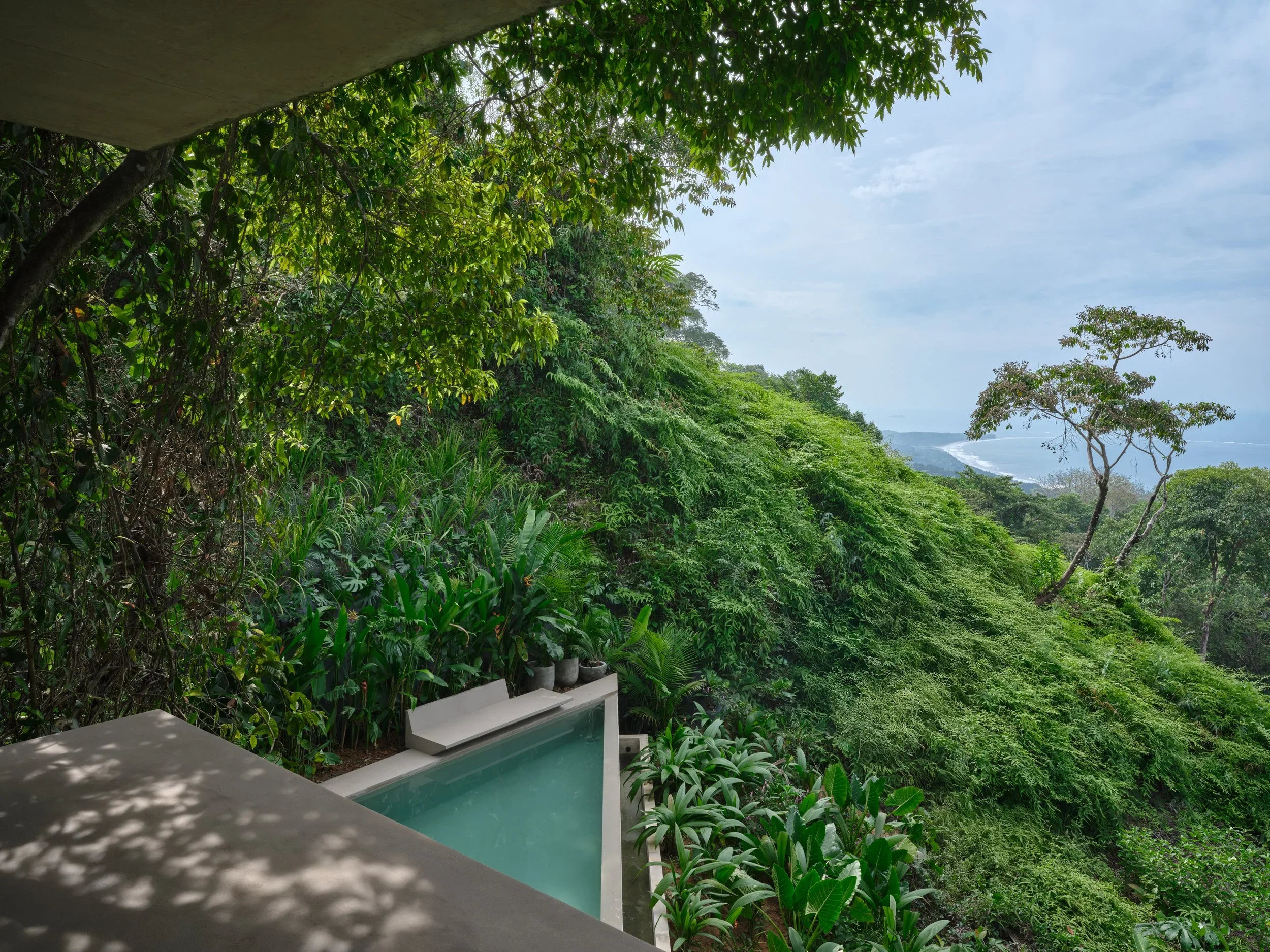 STUDIO+HOUSE+COSTA+RICA_01e.jpg.webp