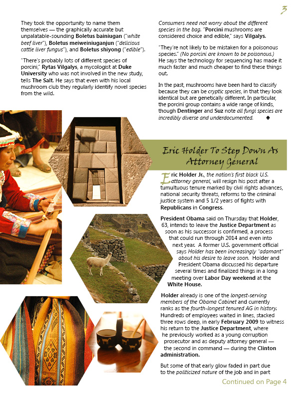 Peru-themed newsletter inside