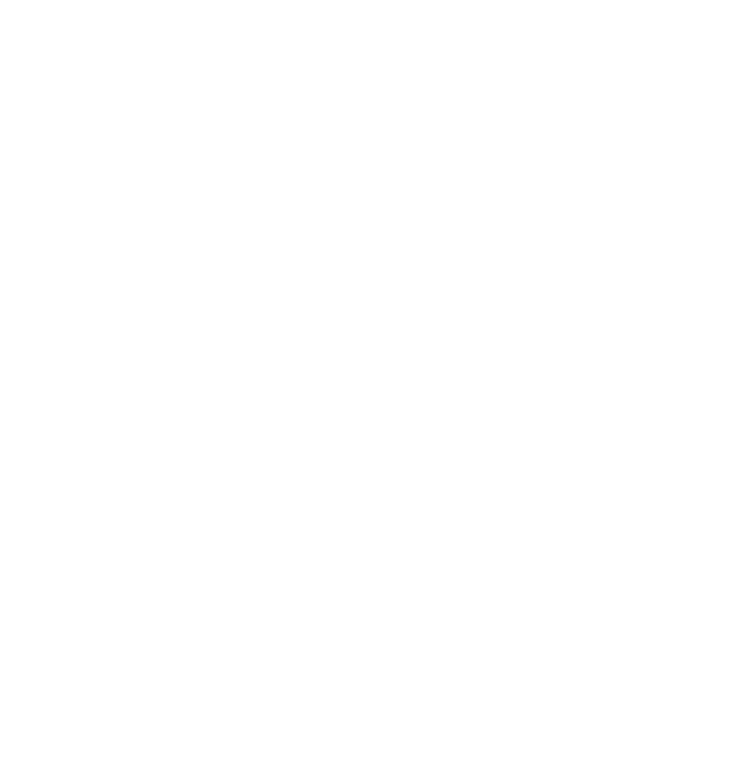Brooke Vlasich