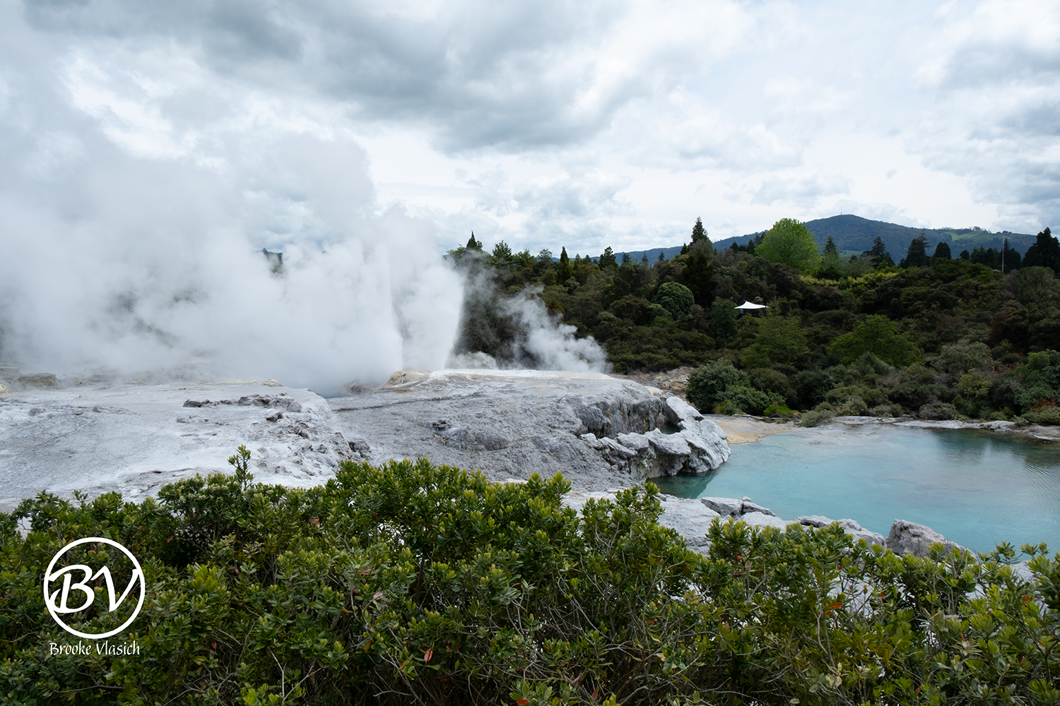 Photo of Te Puia geothermal geyser in Rotorua, New Zealand