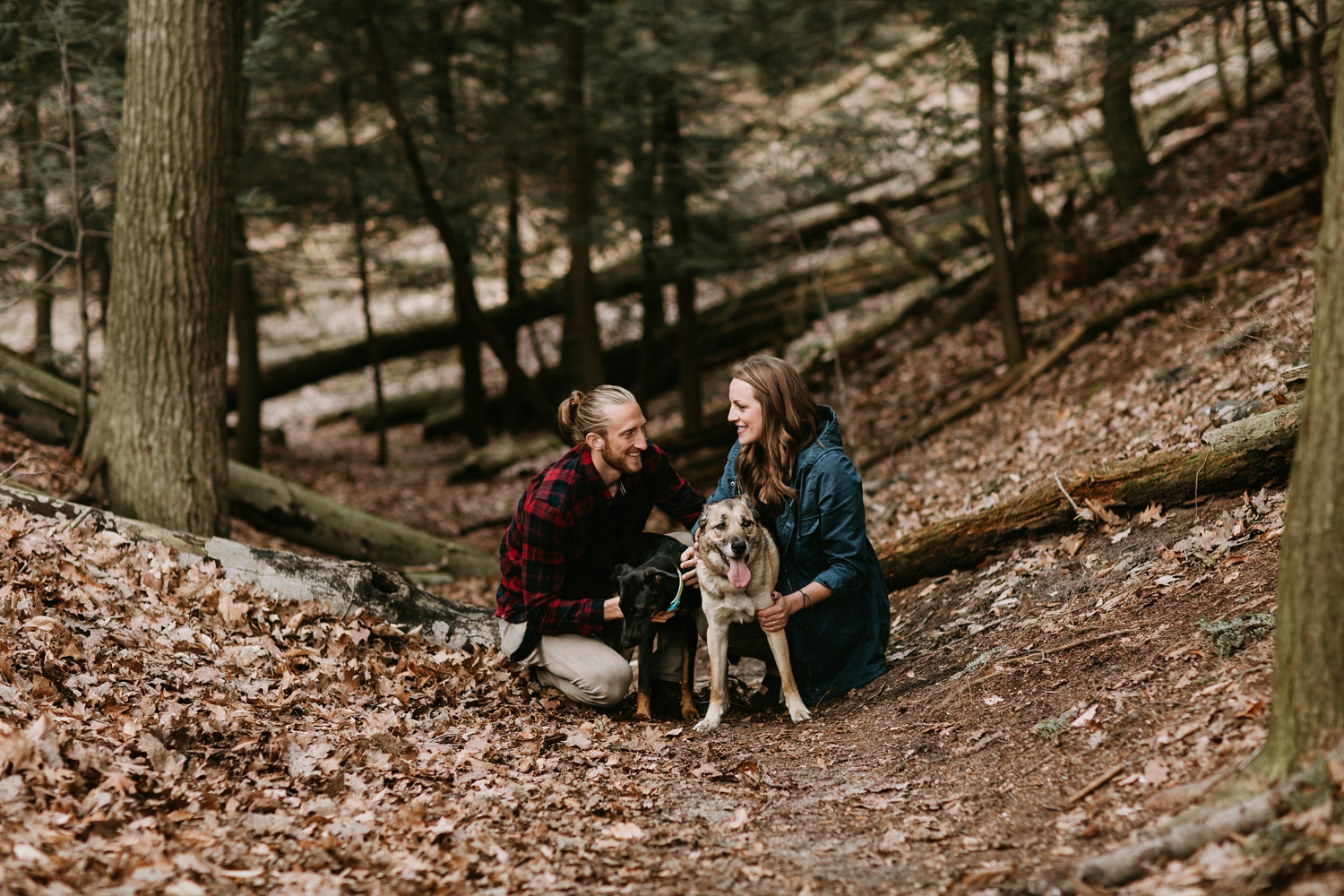dog engagement session