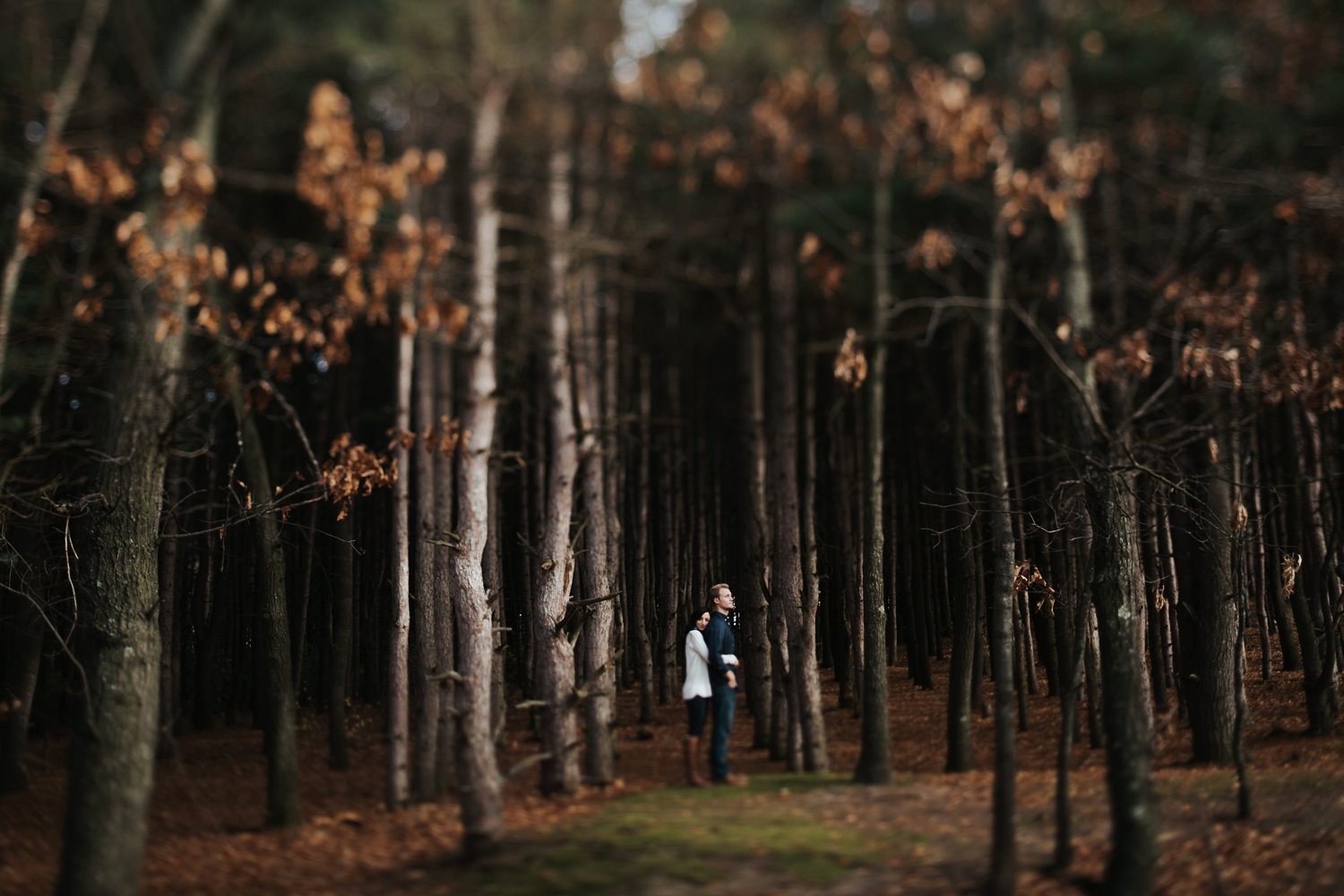 intimate and dark woodsy western michigan engagement