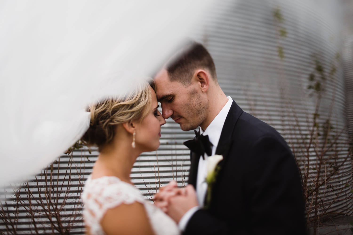 windy veil photograph