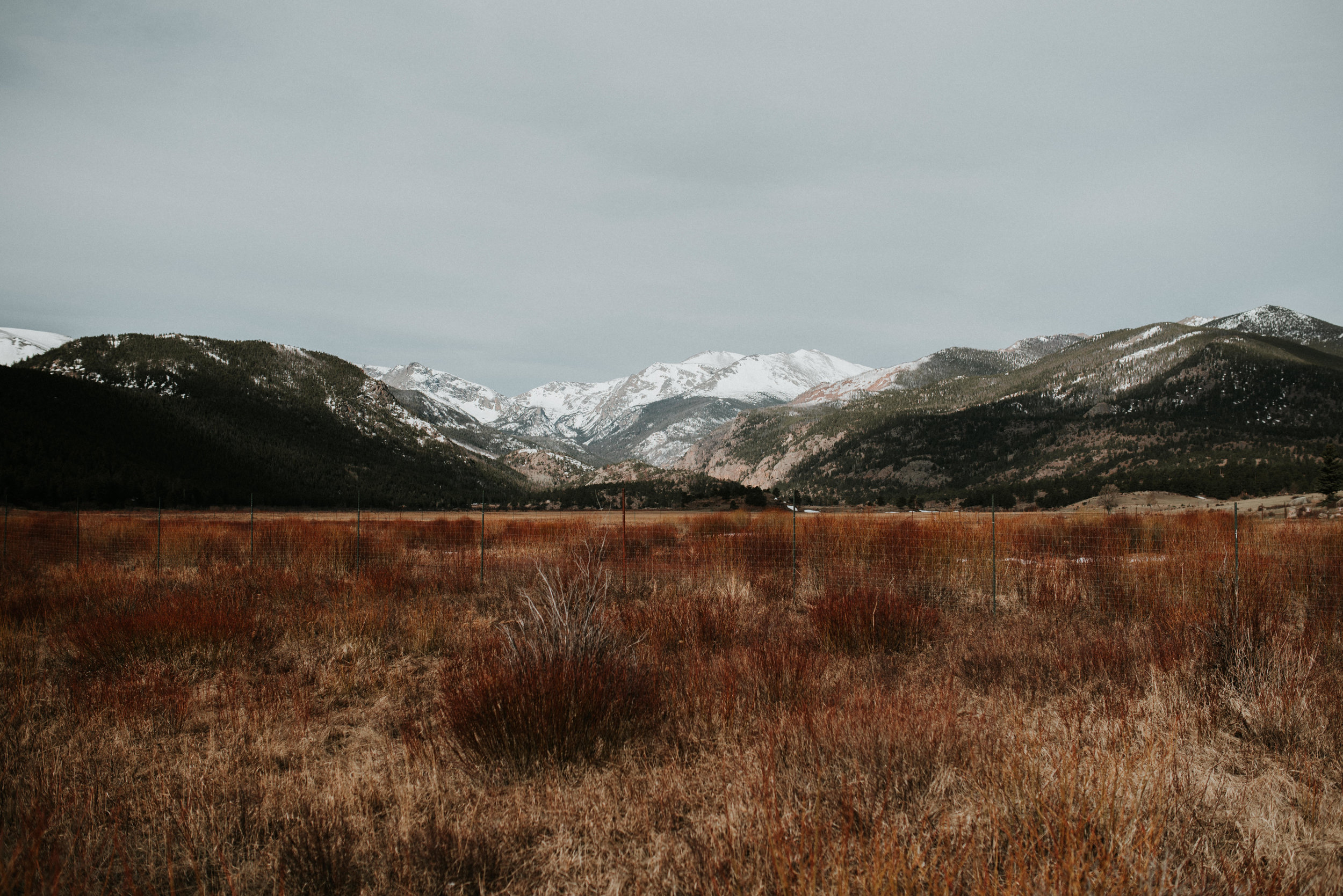 Zach&Rosalie Rocky Mountain National Park Engagement Denver Colorado Rocky Mountain Wedding Photographer00005.jpg