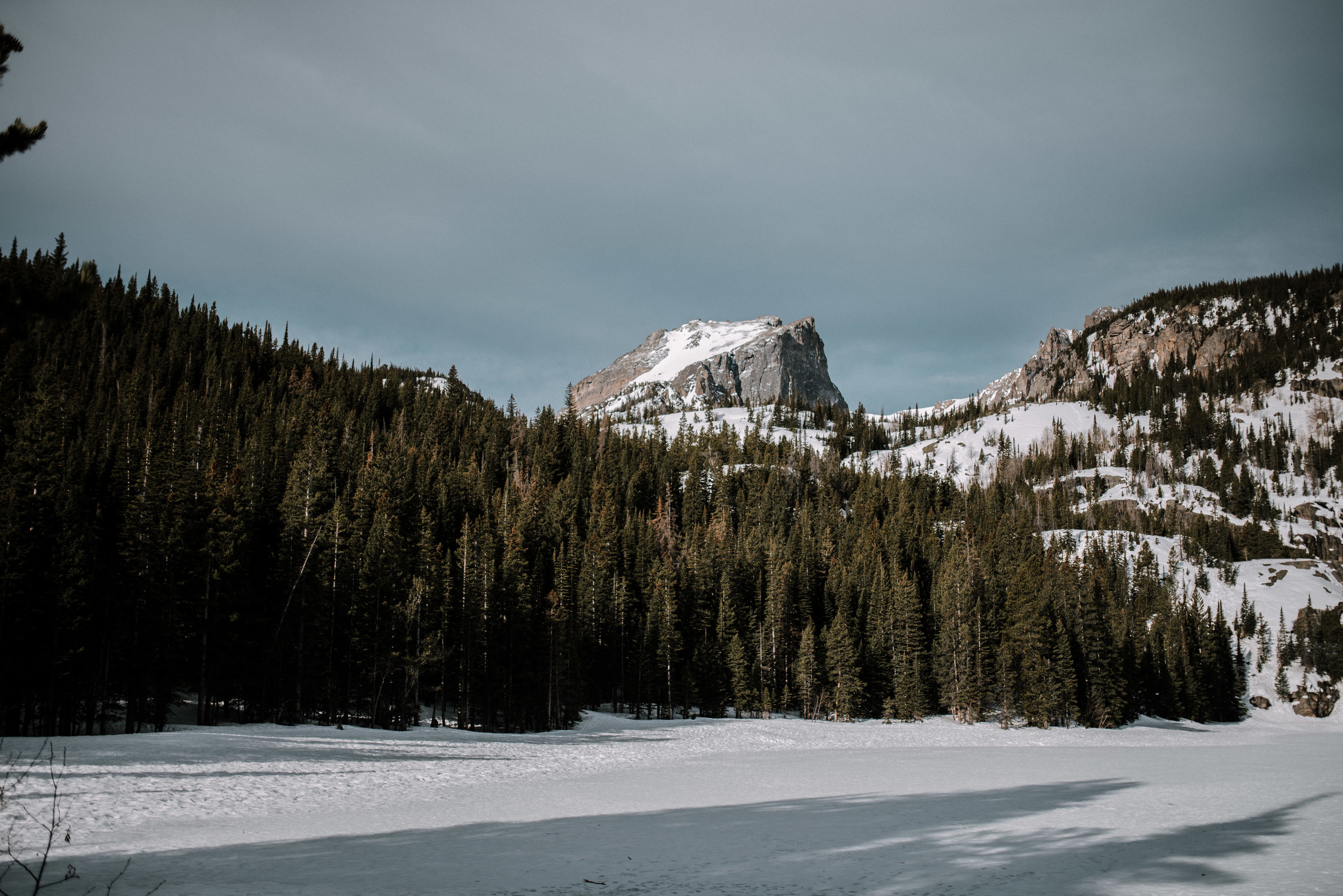 Zach&Rosalie Rocky Mountain National Park Engagement Denver Colorado Rocky Mountain Wedding Photographer00008.jpg