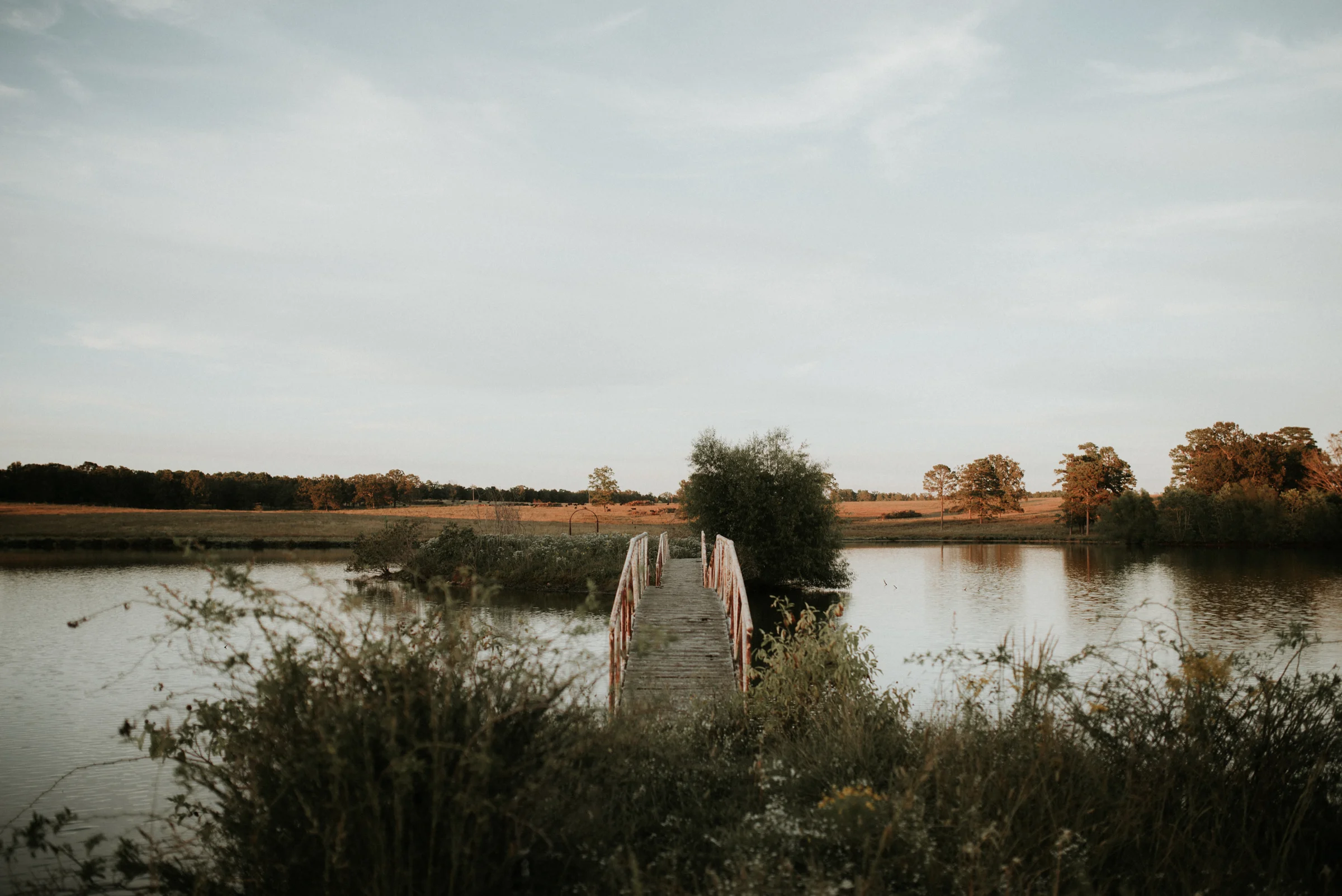 Zach&Rosalie Marion St. Louis Wedding Photographer-0746.jpg