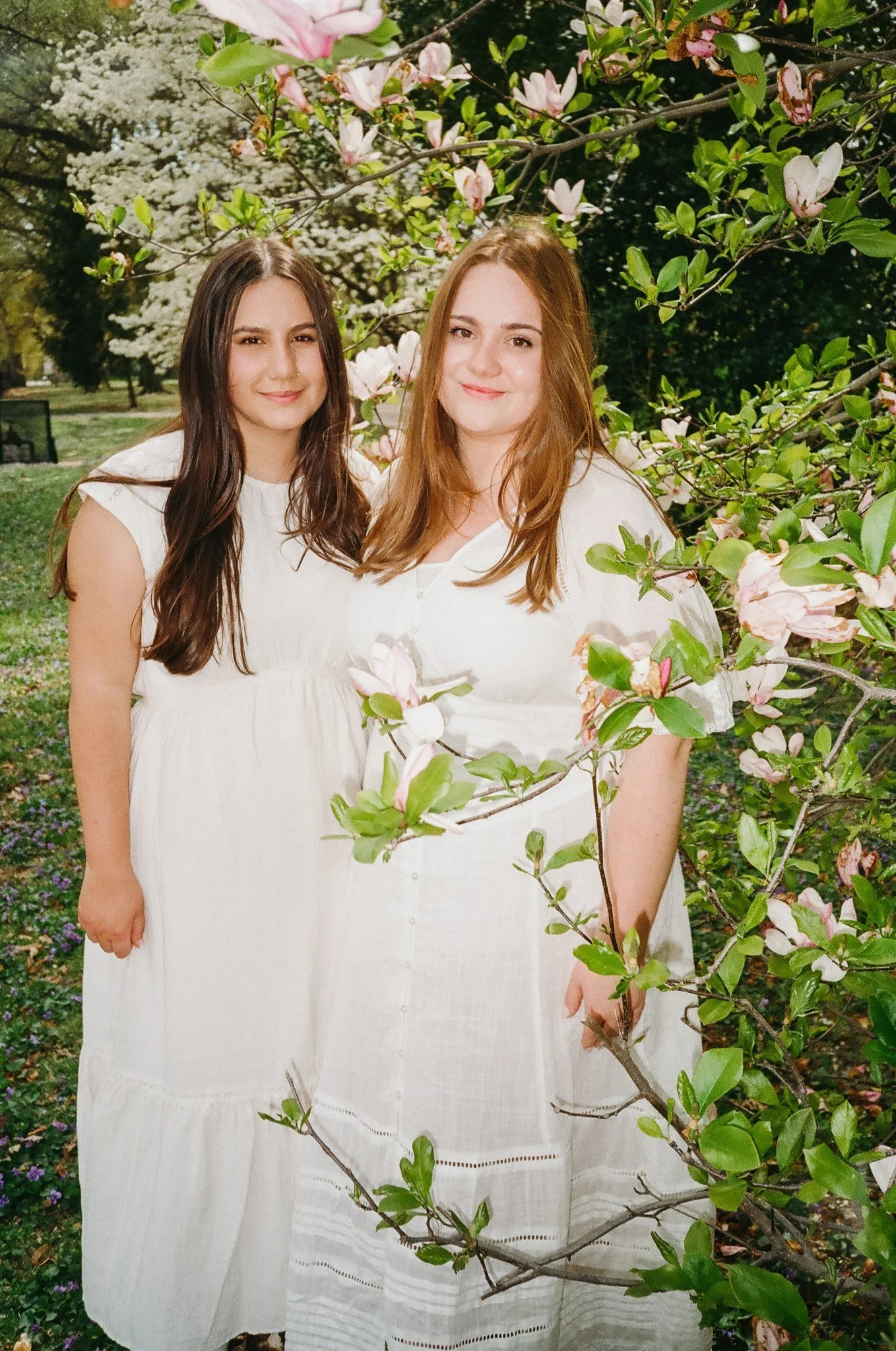 Springtime Lafayette Square Park Engagement Session on Film