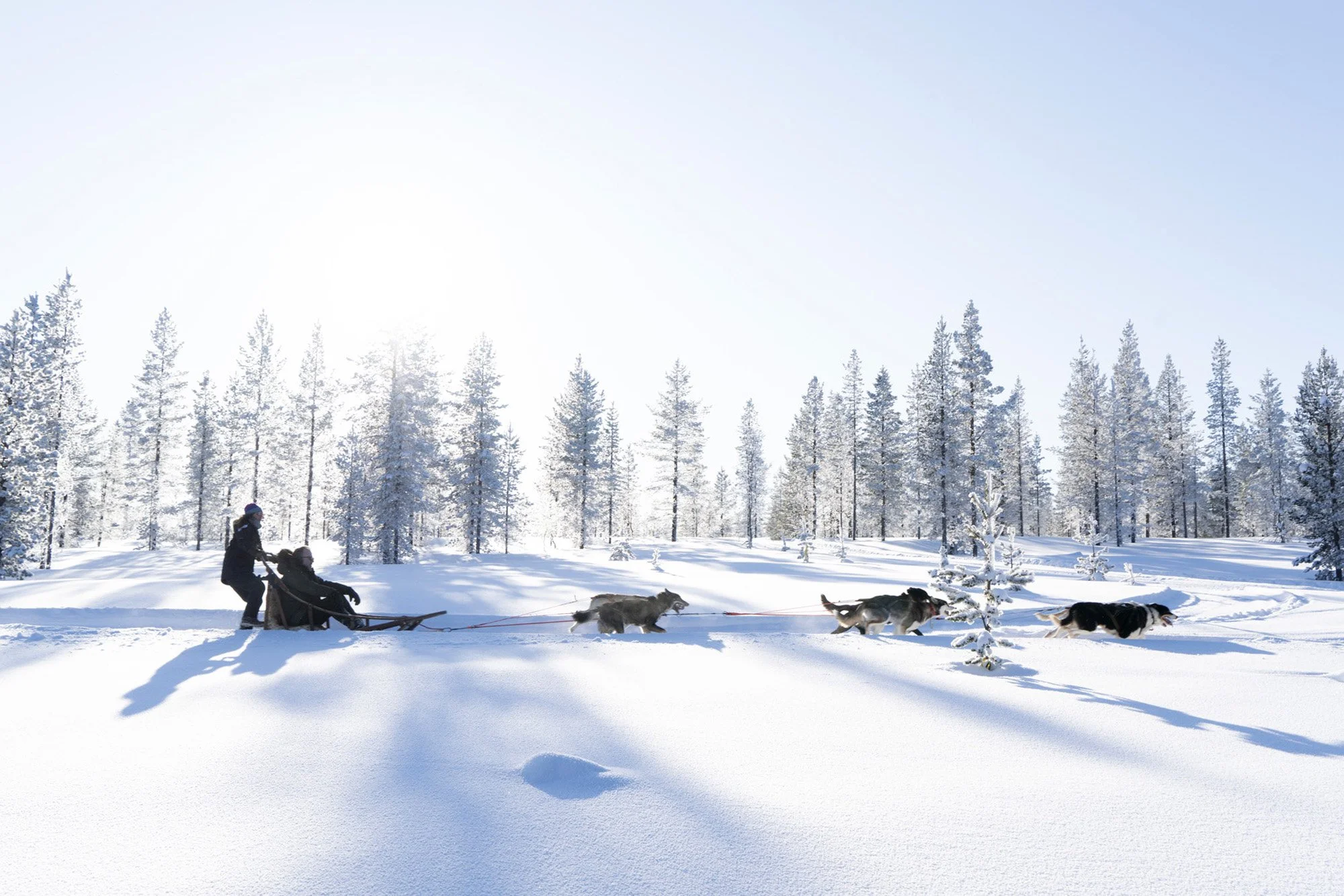 FINLAND FOR PJL WEBSITE  - 28.jpeg