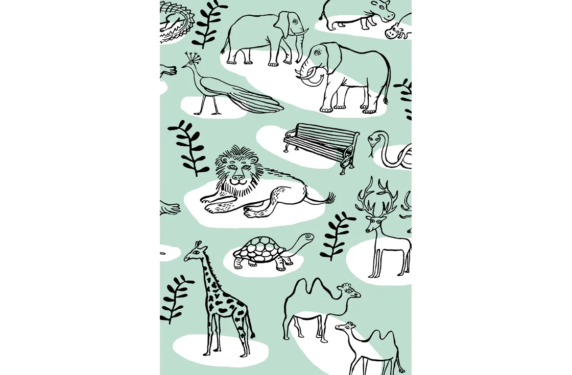 zoo2.jpg