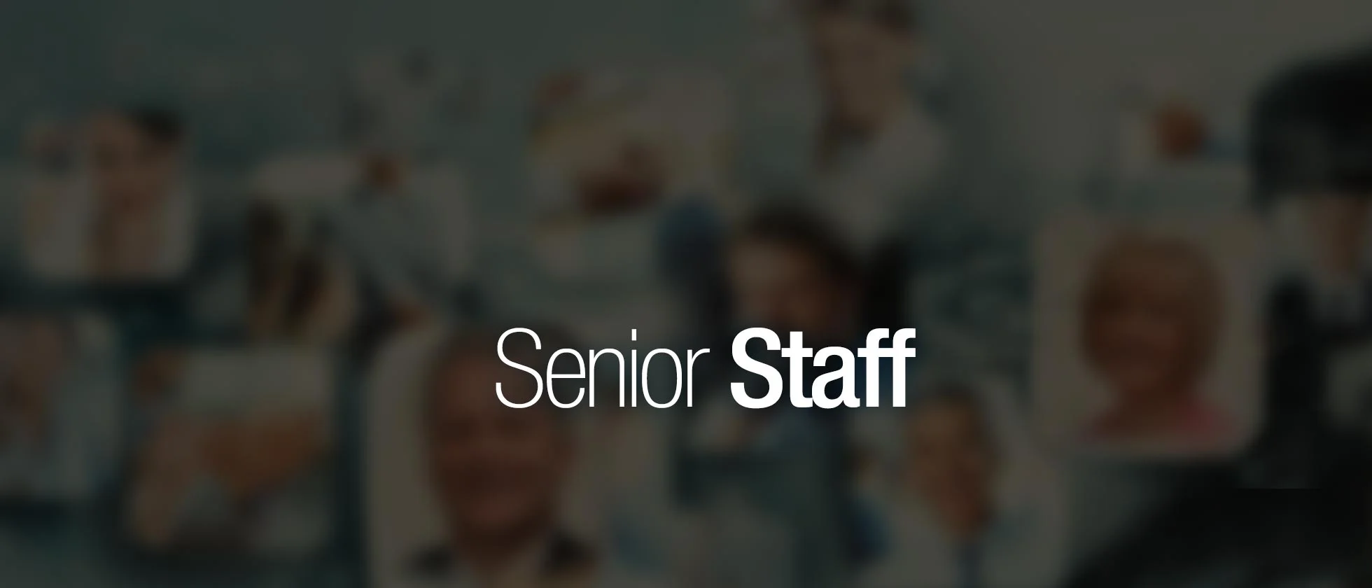 Staff-TEMP.jpg