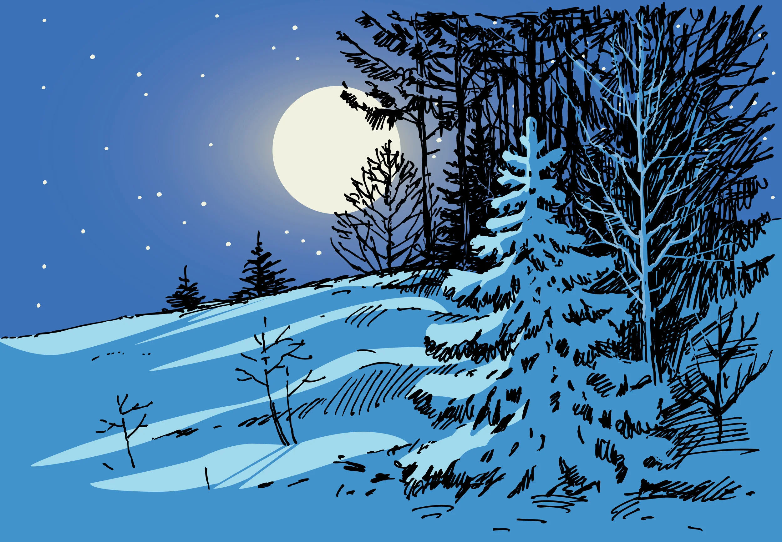 moonlit night