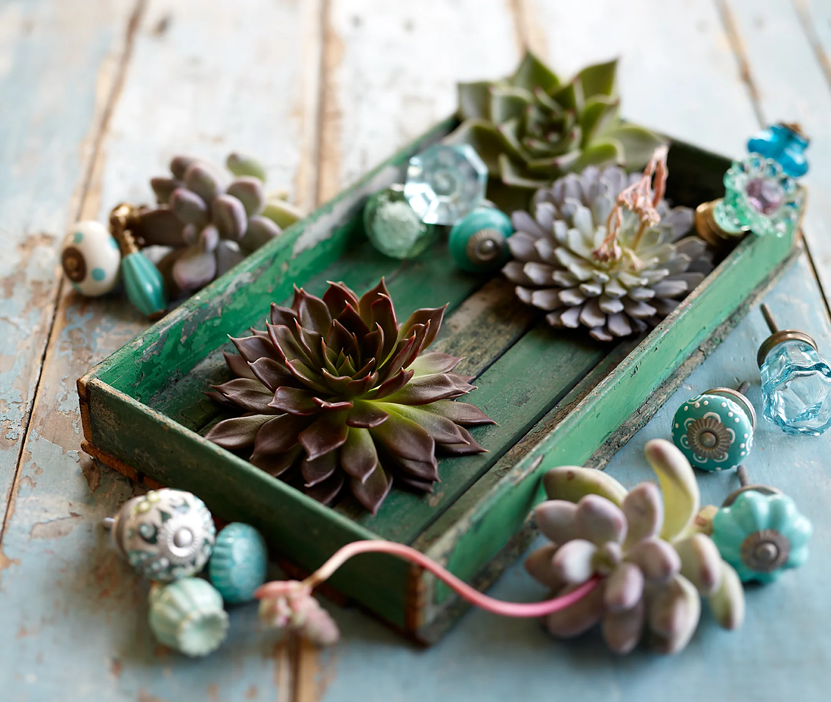 Flowers-in-green-box.jpg