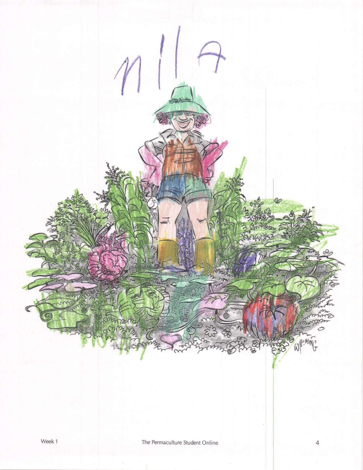 PSO Work Sample 5.jpg