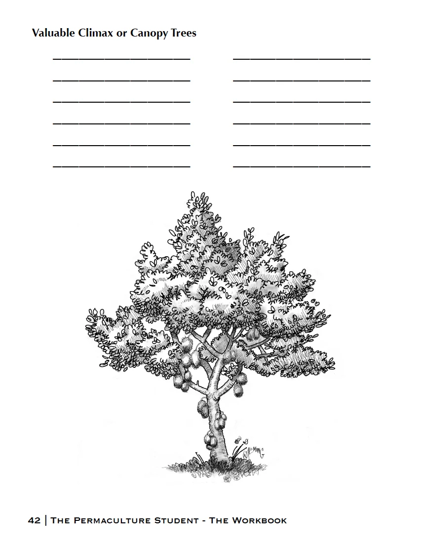 Climax+Tree+Listing+PS1+Workbook.jpg