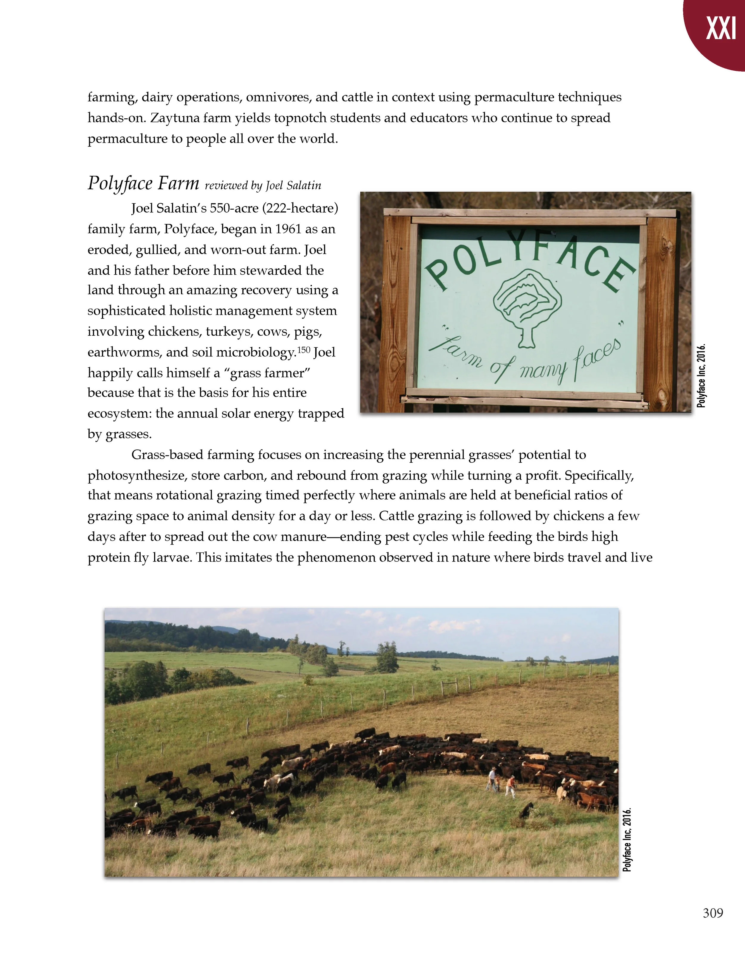 PS2 Intro page 1_Page_313.jpg