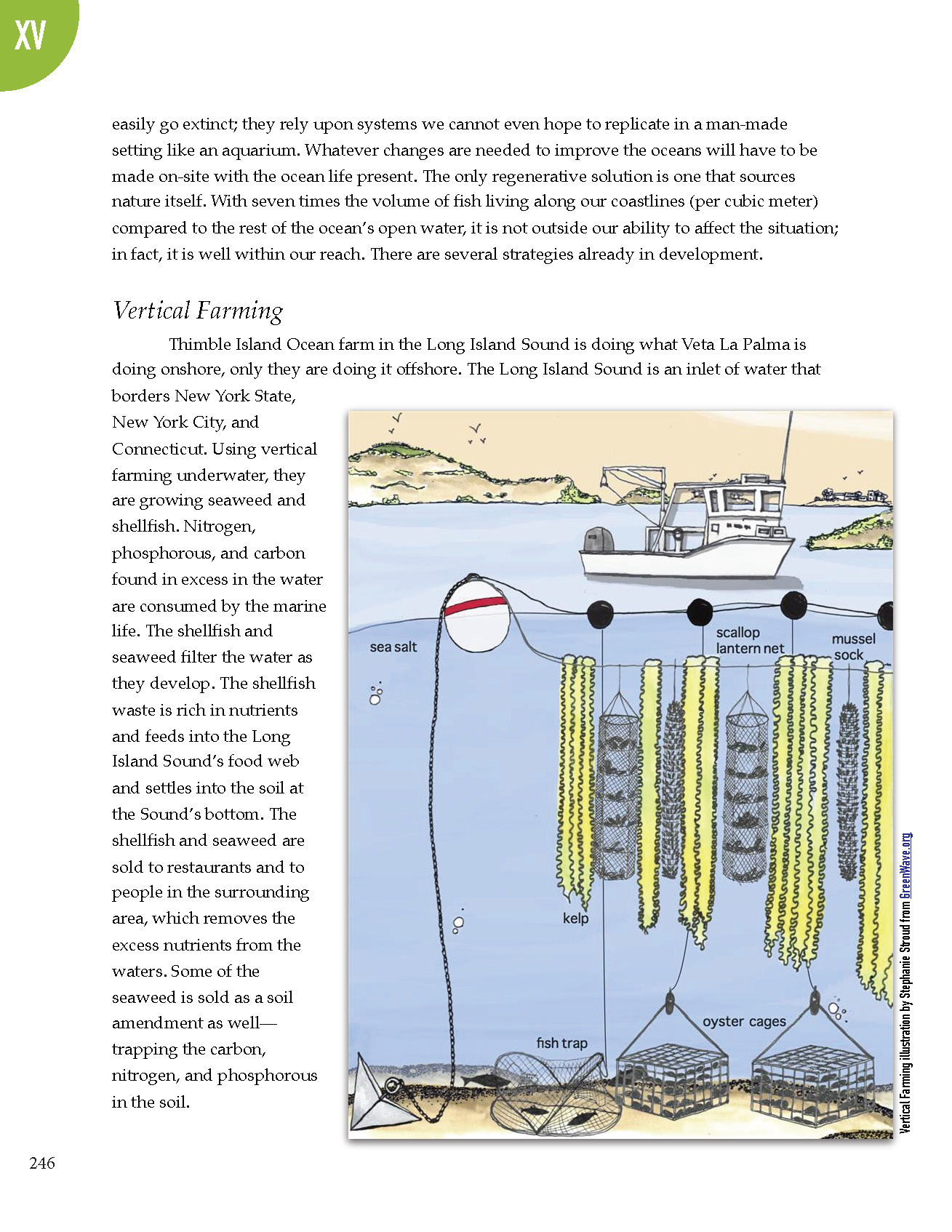 PS2 Intro page 1_Page_250.jpg