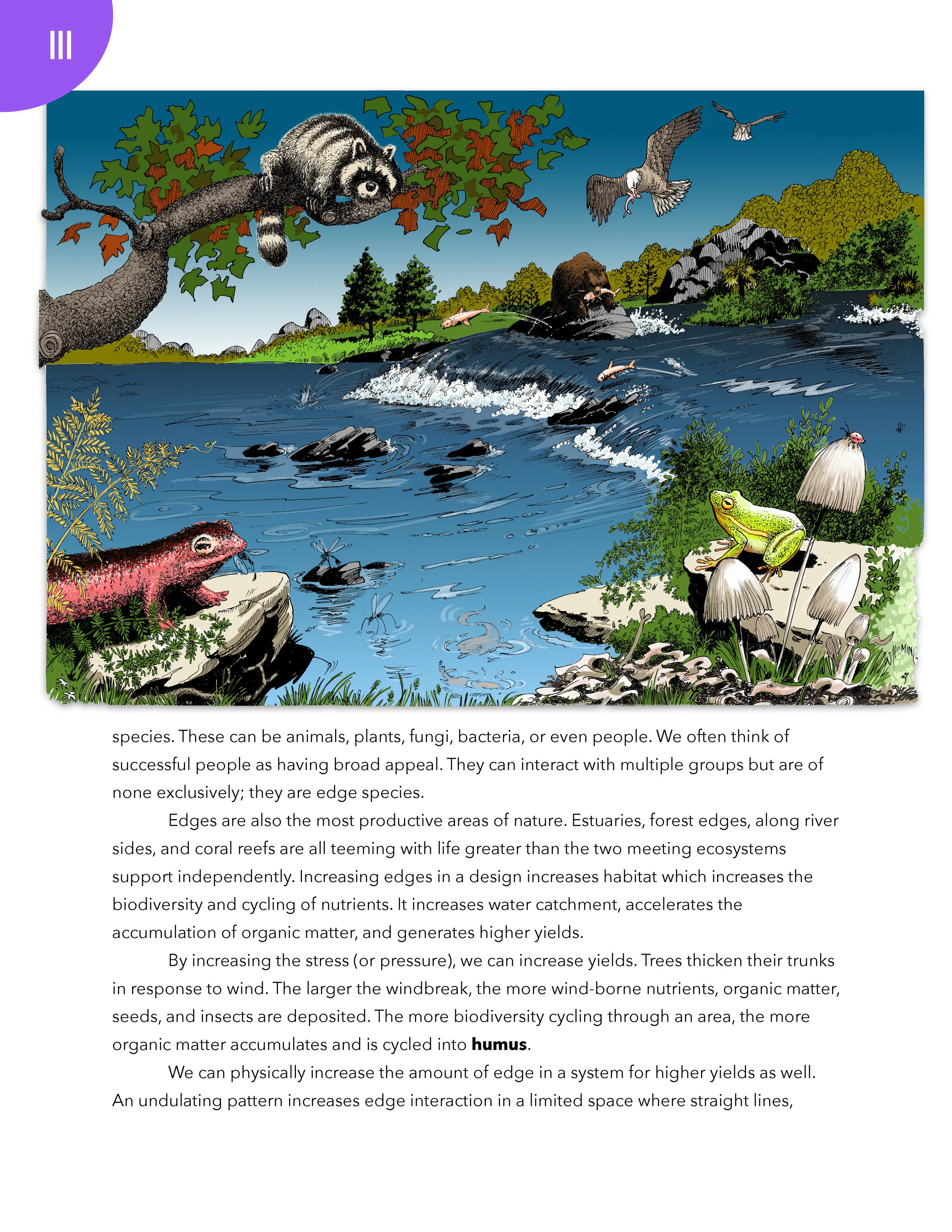 PS2 2nd Edition Working Draft_Page_020.jpg