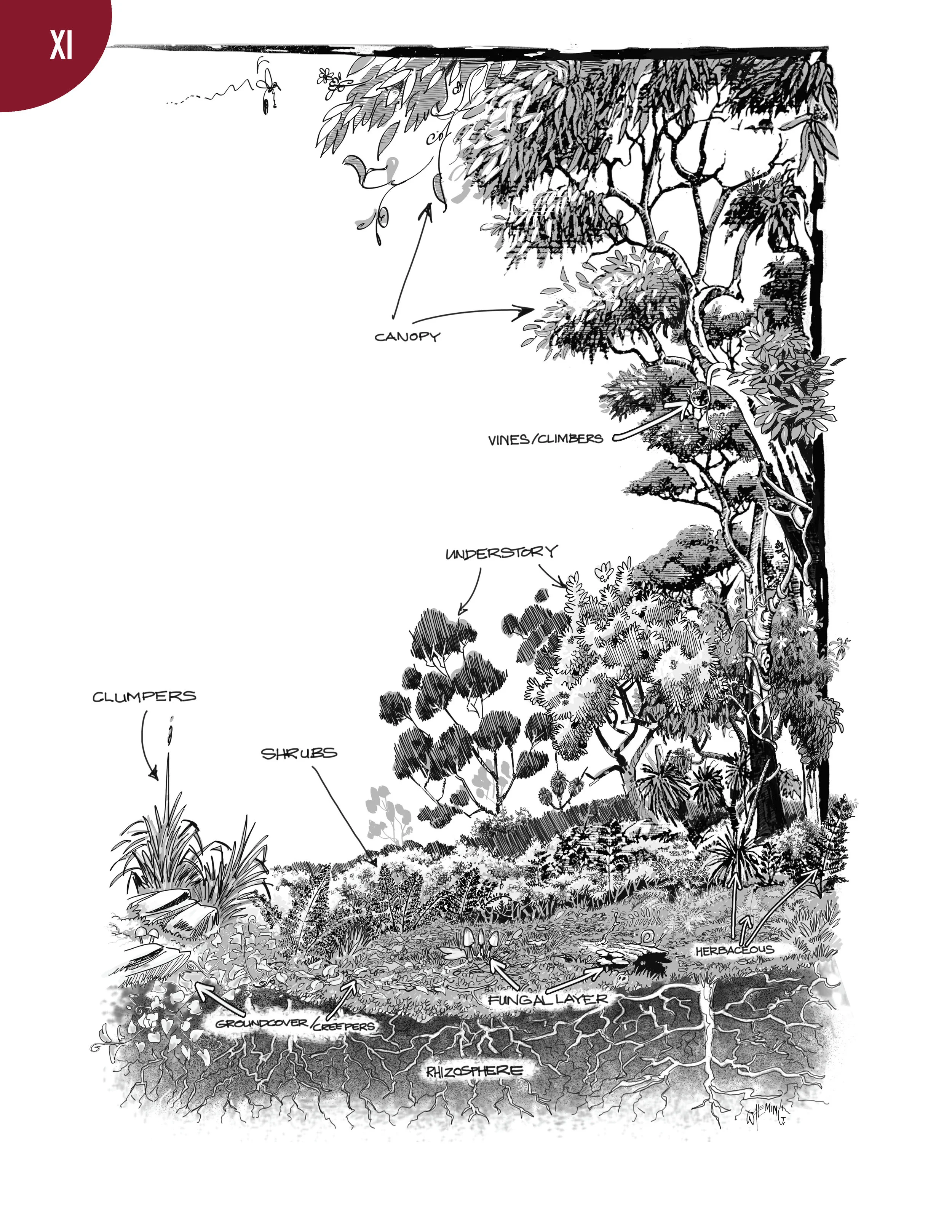 PS2 2nd Edition Working Draft_Page_200.jpg