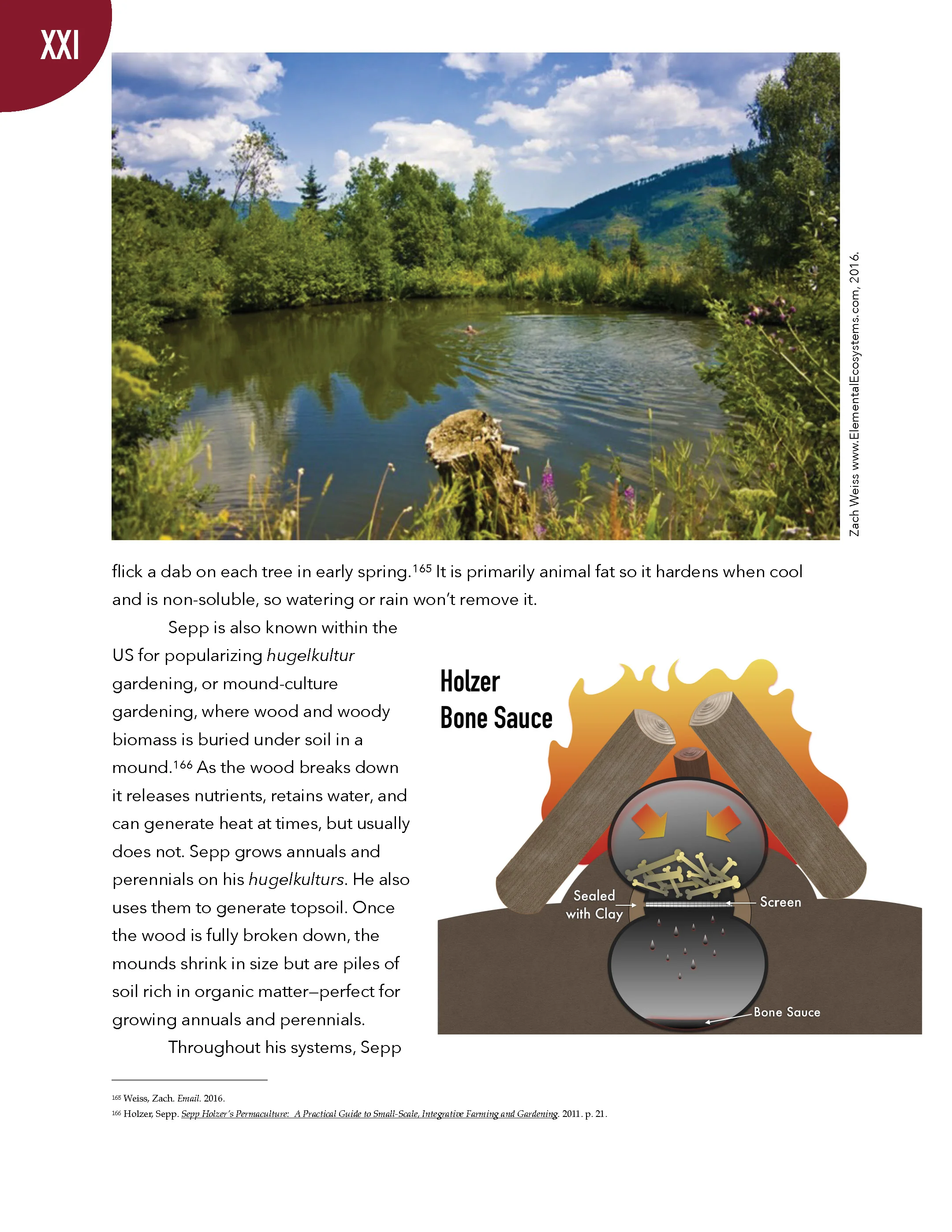 PS2 2nd Edition Working Draft_Page_356.jpg