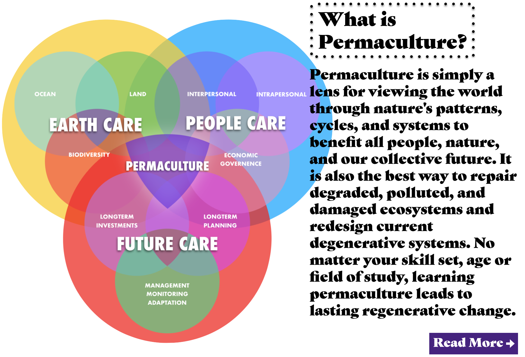 Screen Shot 2019-03-29 at 9.47.35 PM.png